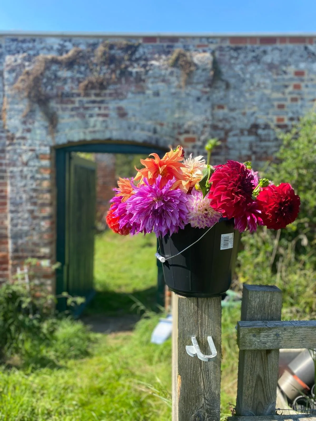 Bloom in Abundance - Picking and Arranging Day - 26th JULY 2026