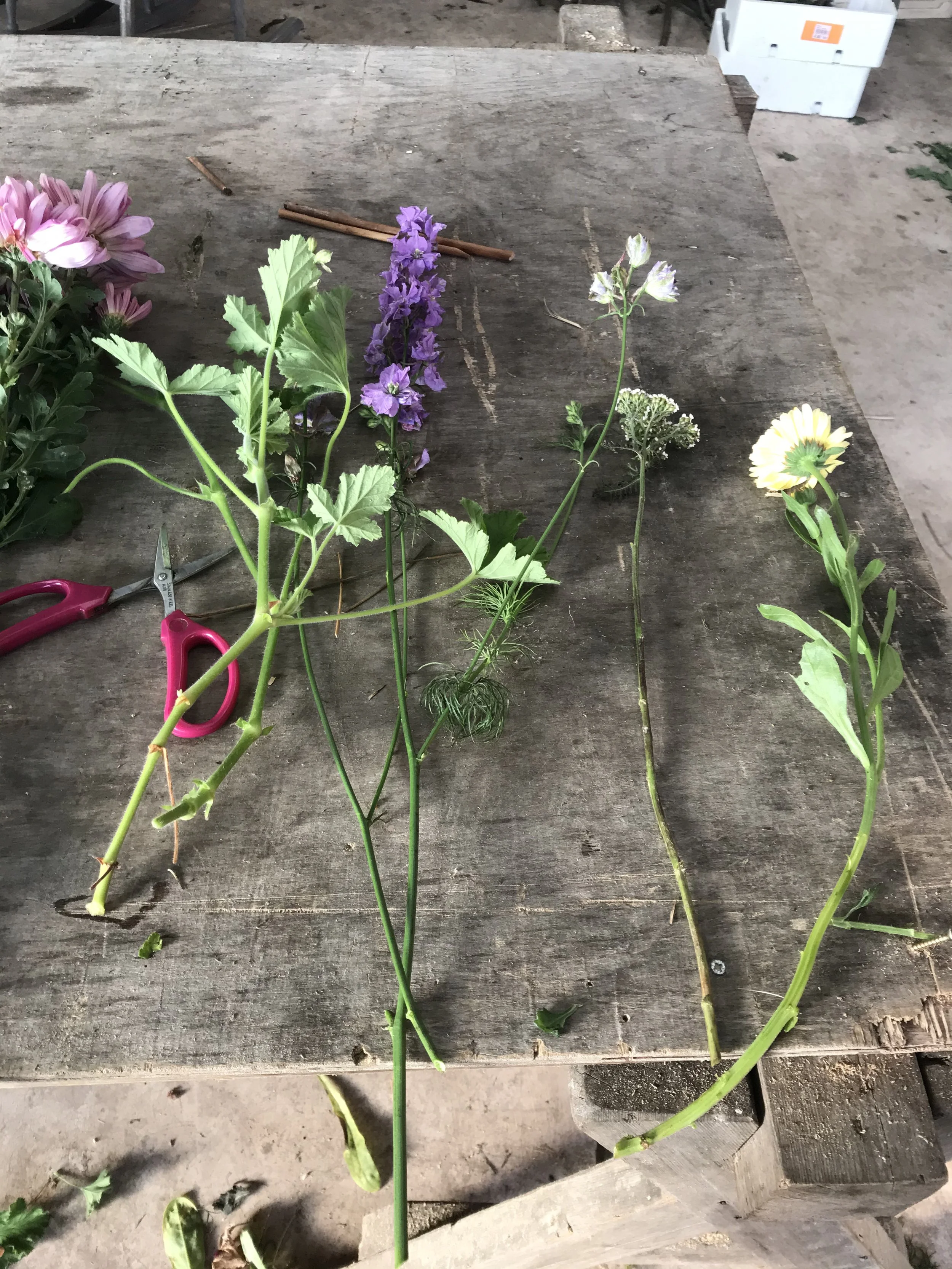 Various cut flowers on a weathered wooden table, including pink, purple, and yellow blooms, with gardening scissors and sticks nearby.