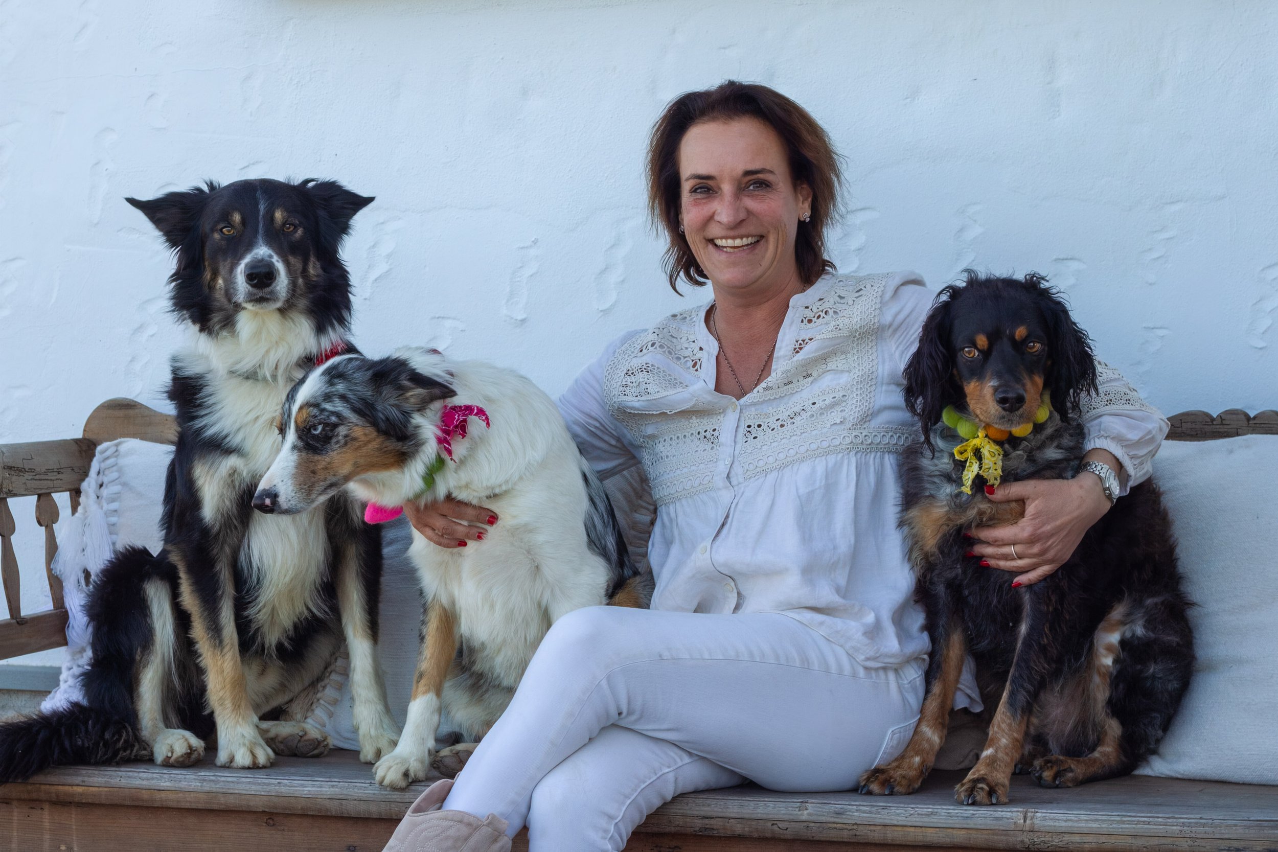 A woman sitting on a wooden bench with four dogs, smiling at the camera against a white wall.