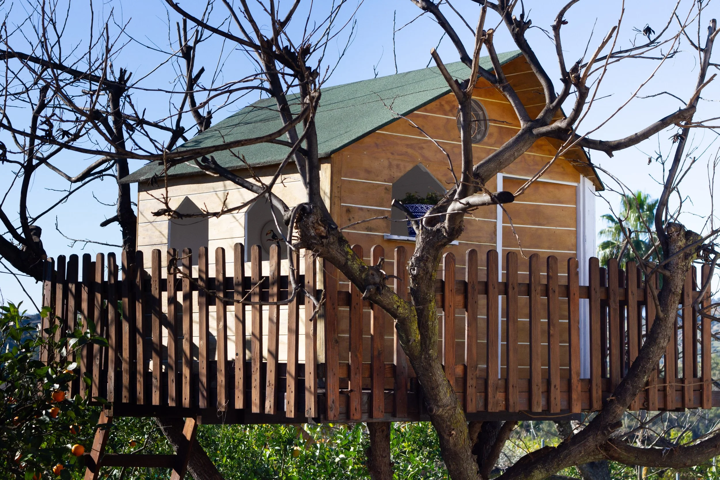 A tree with no leaves holding a small wooden house with a green roof and two small arched windows on a sunny day.