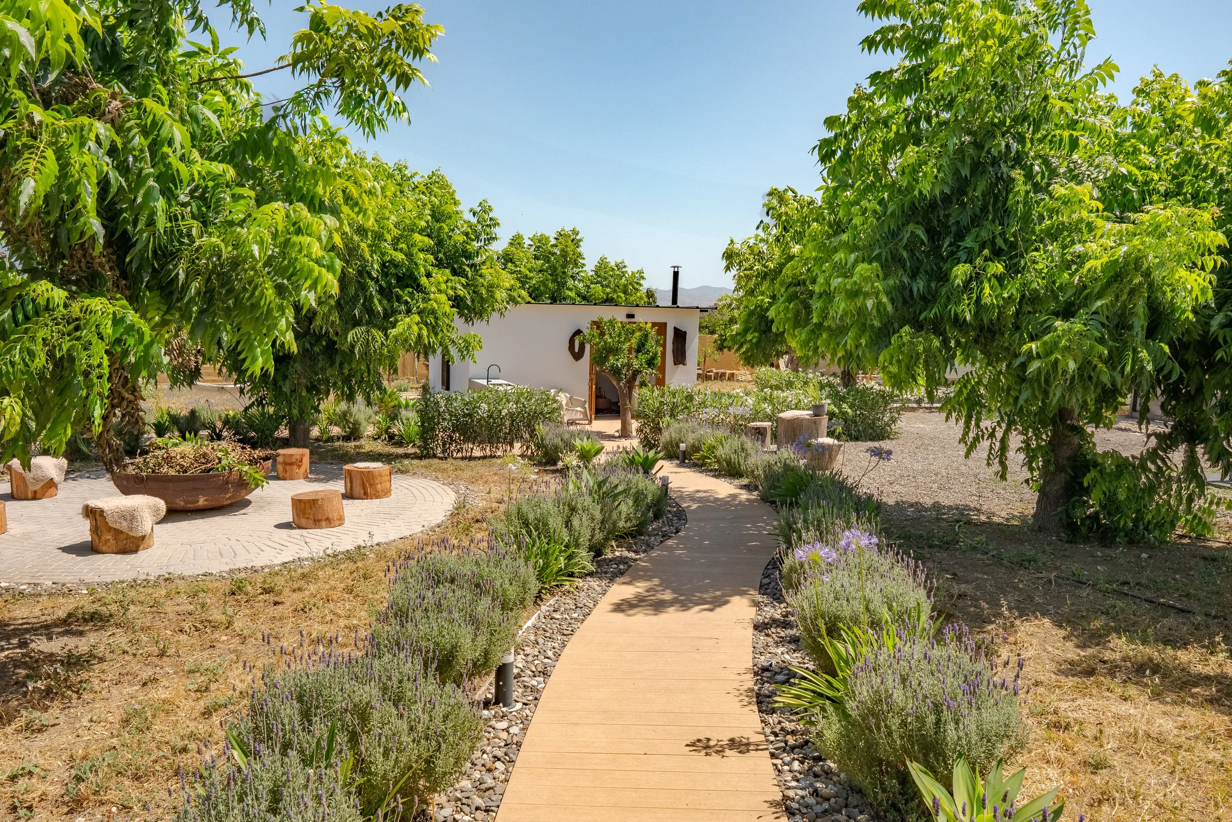 Finca Verde-1.jpg