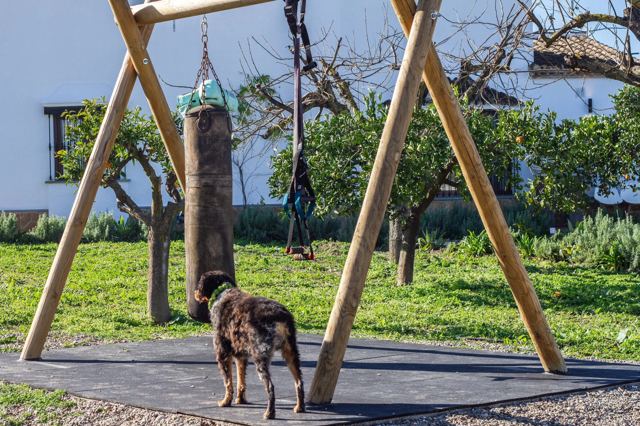 A small puppy standing on a black rubber mat under a wooden swing set in a garden with trees and houses in the background.