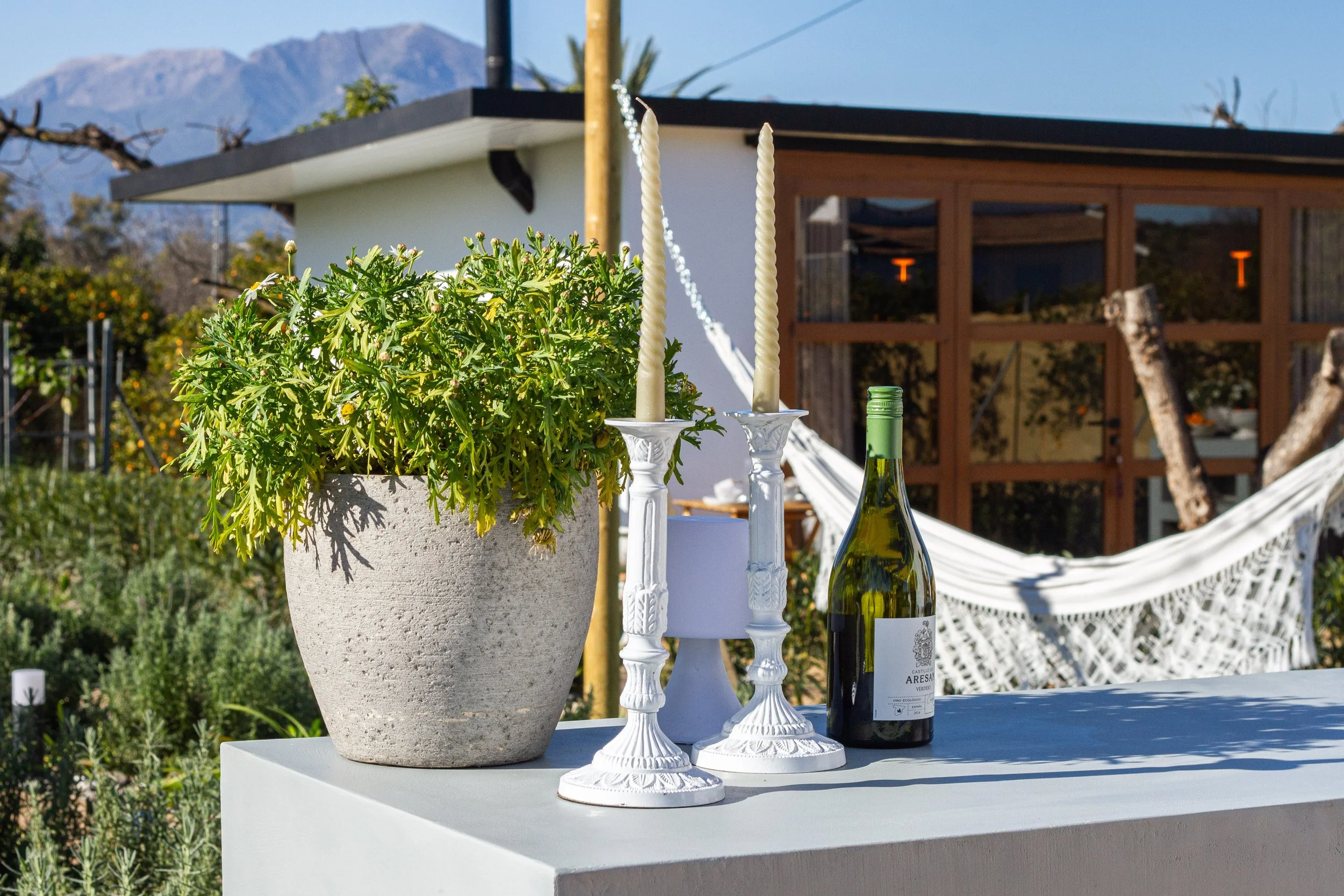 Outdoor table with potted green plant, two white candlesticks, a small white lamp, and a bottle of white wine, with a hammock and garden in the background.