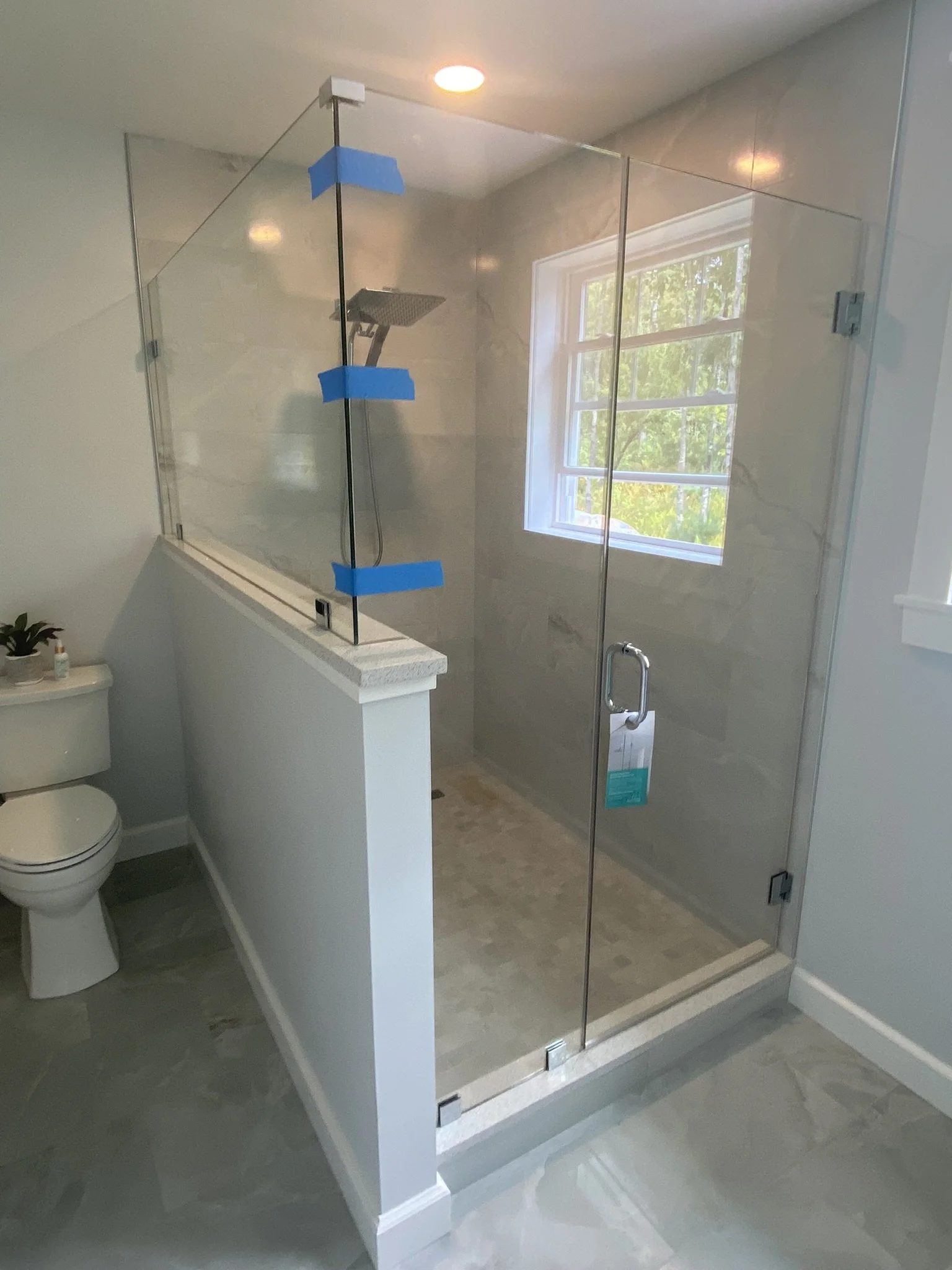 A modern bathroom with a glass-enclosed shower, a window with greenery outside, a toilet, and a small plant on the toilet tank.