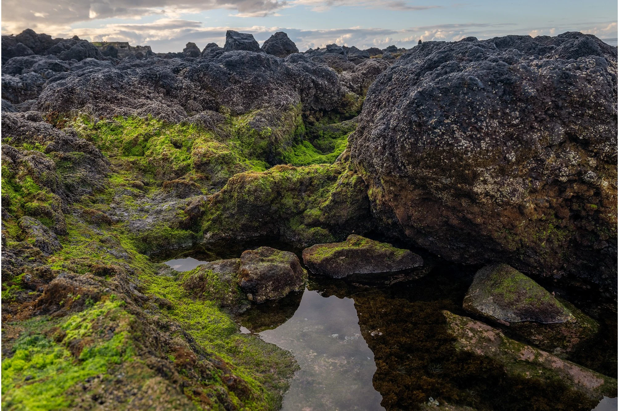 L1030638-HDR.jpg