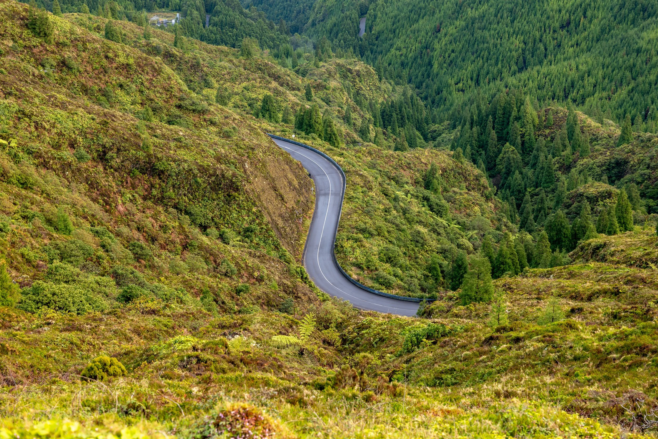 L1040017-HDR.jpg