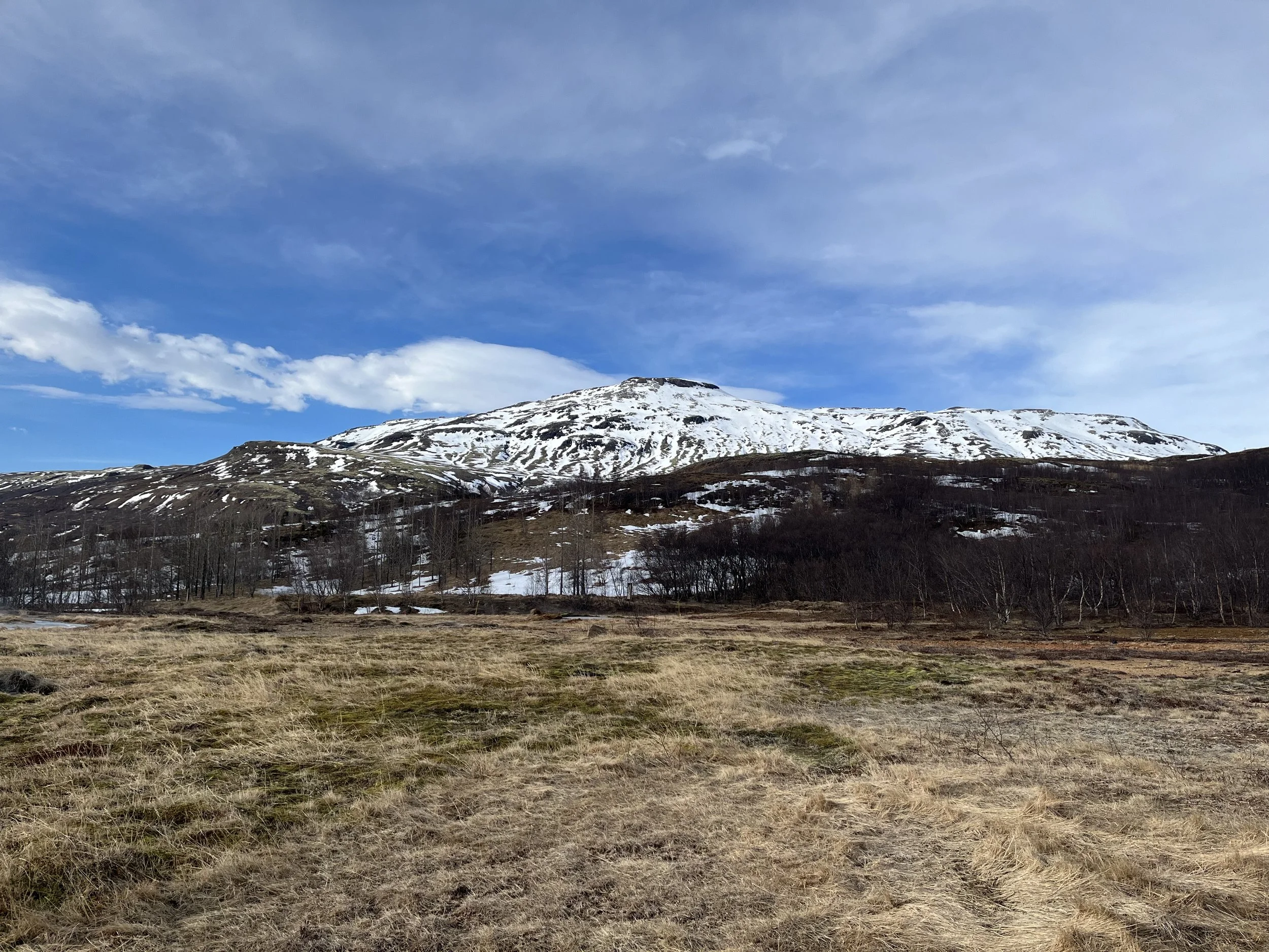 IMG_8209.jpeg