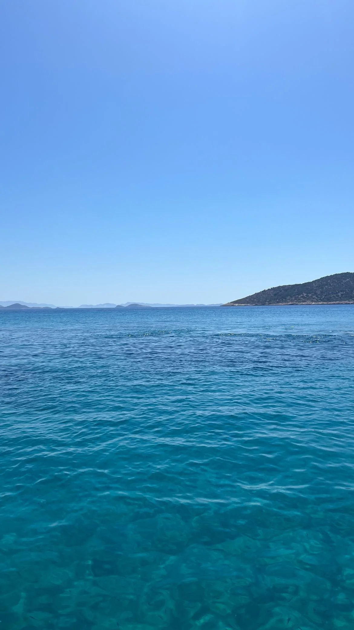 F35C1F65-CE16-467B-919D-368088D1D209.jpeg