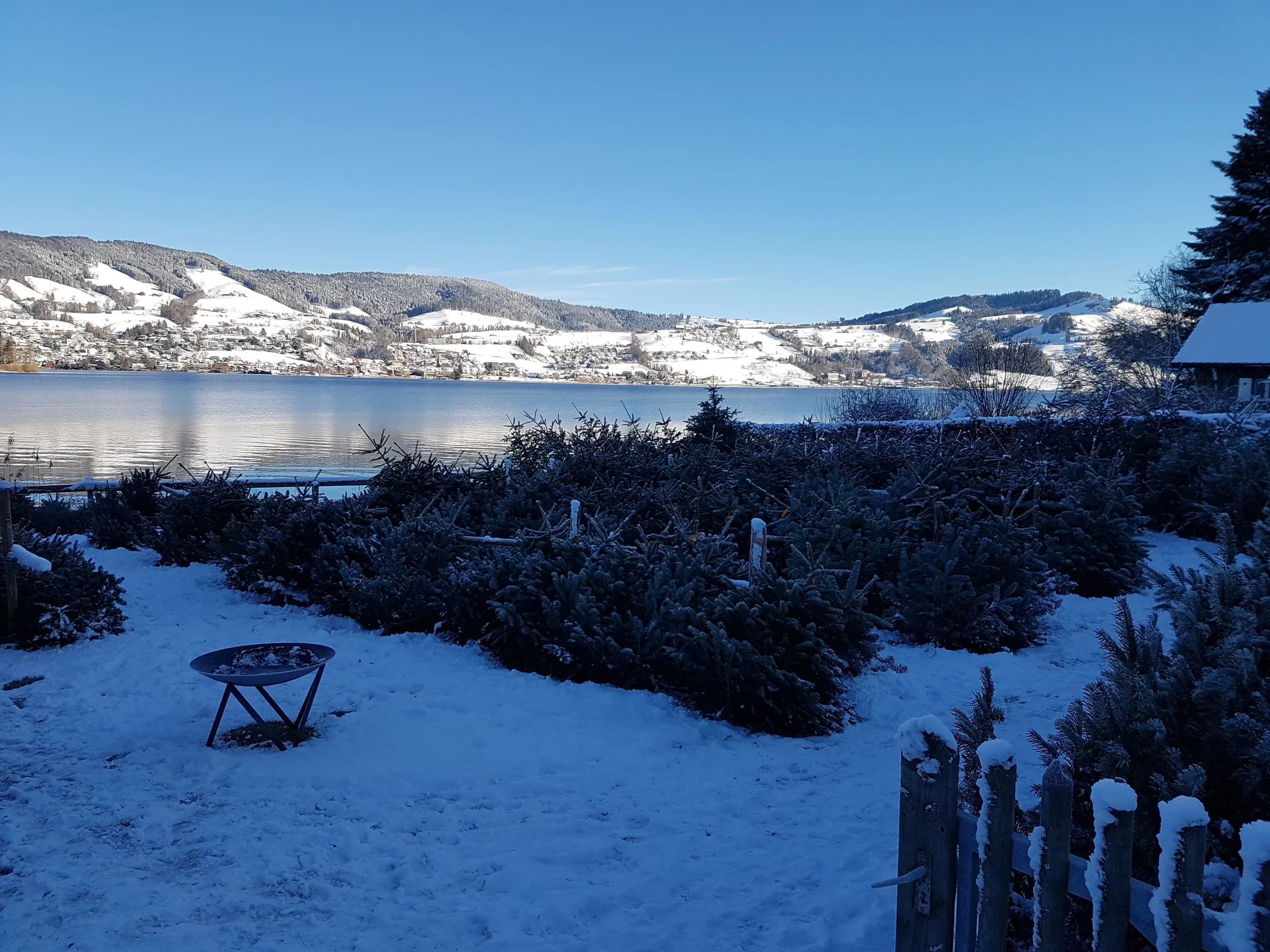 WhatsApp Image 2026-01-27 at 08.53.05 (2).jpeg