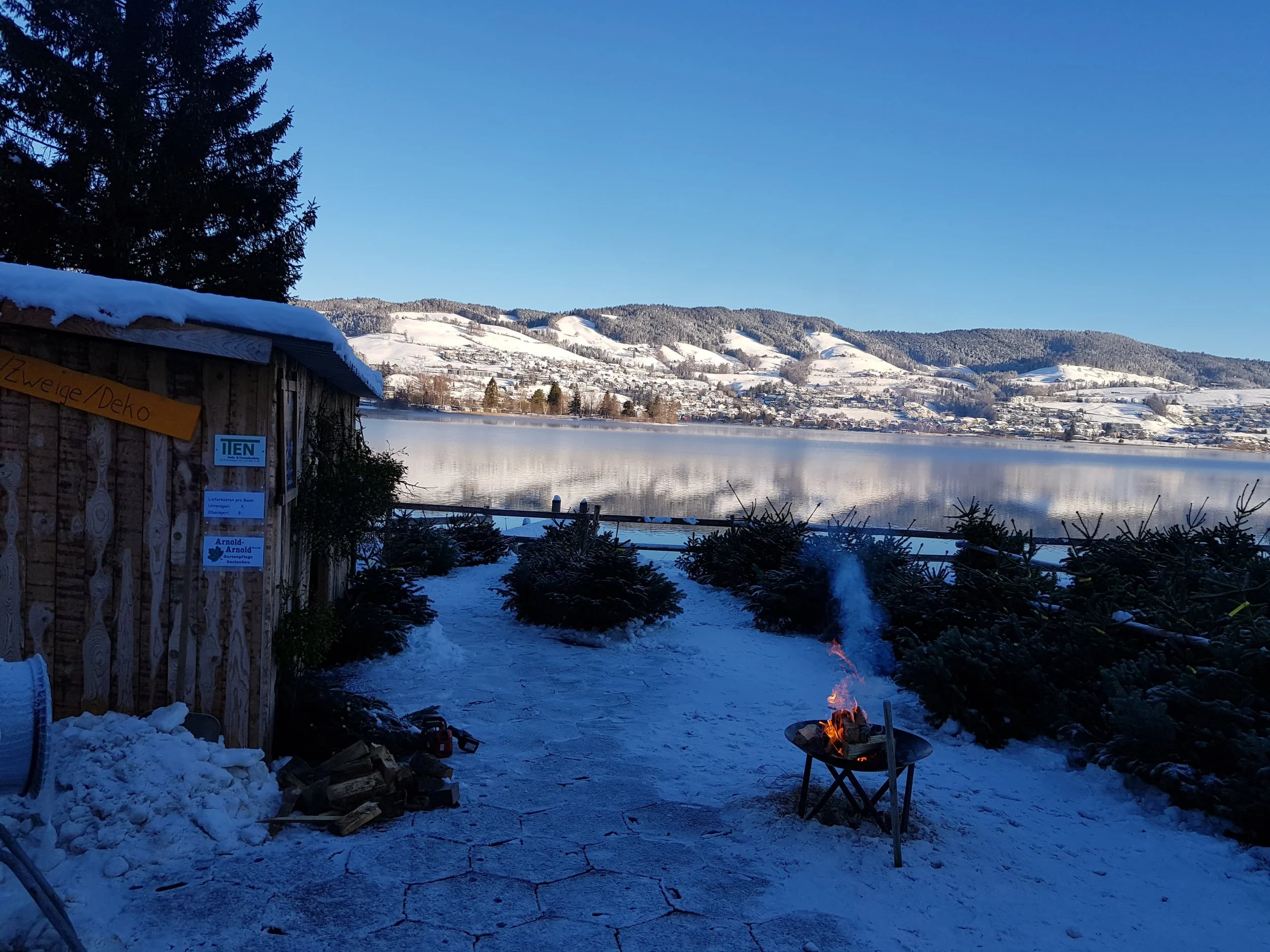 WhatsApp Image 2026-01-27 at 08.53.04.jpeg