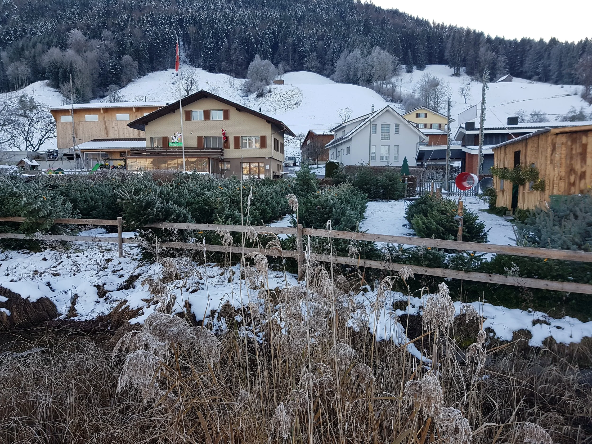 WhatsApp Image 2026-01-27 at 08.53.05 (4).jpeg