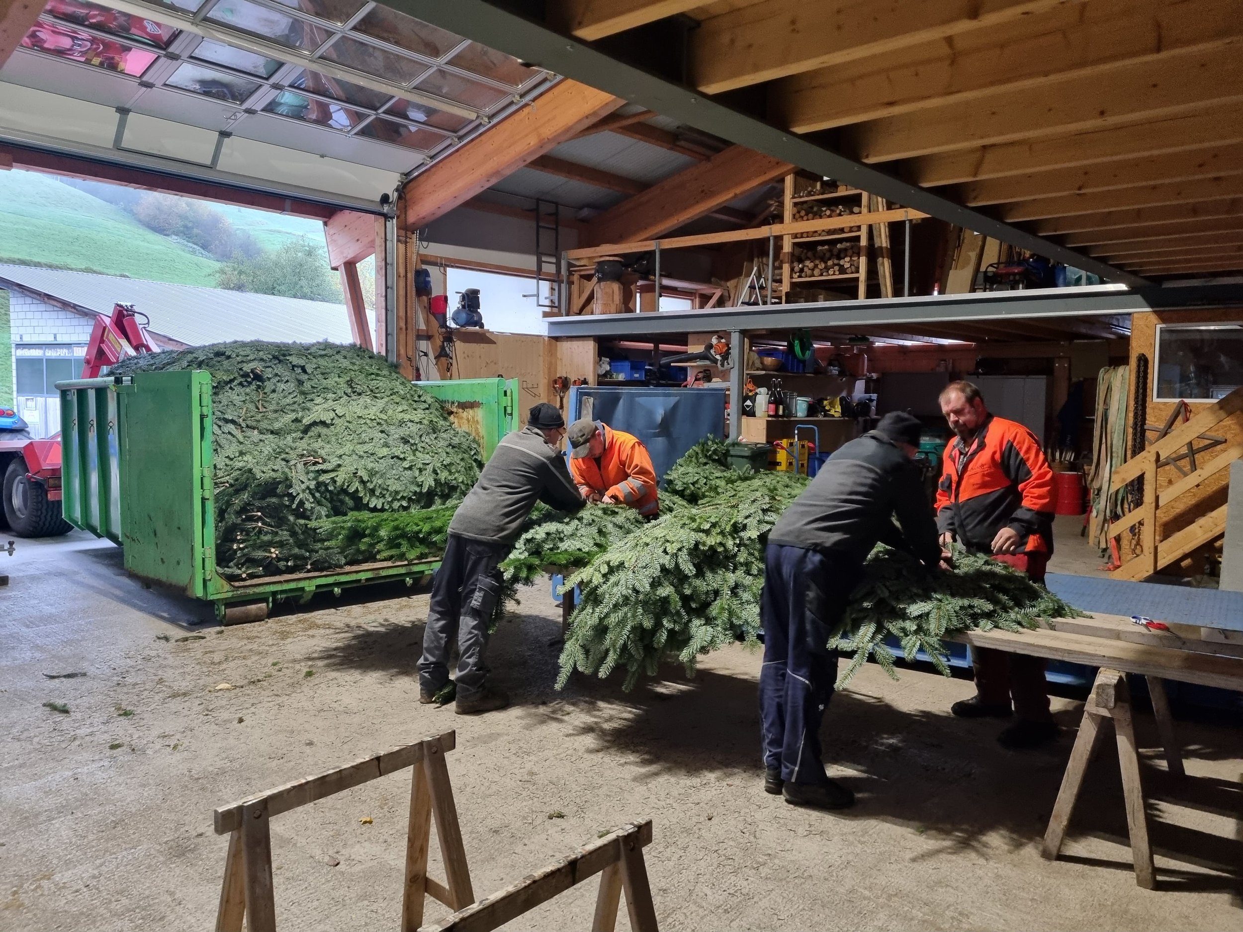 WhatsApp Image 2026-01-27 at 08.52.58 (1).jpeg