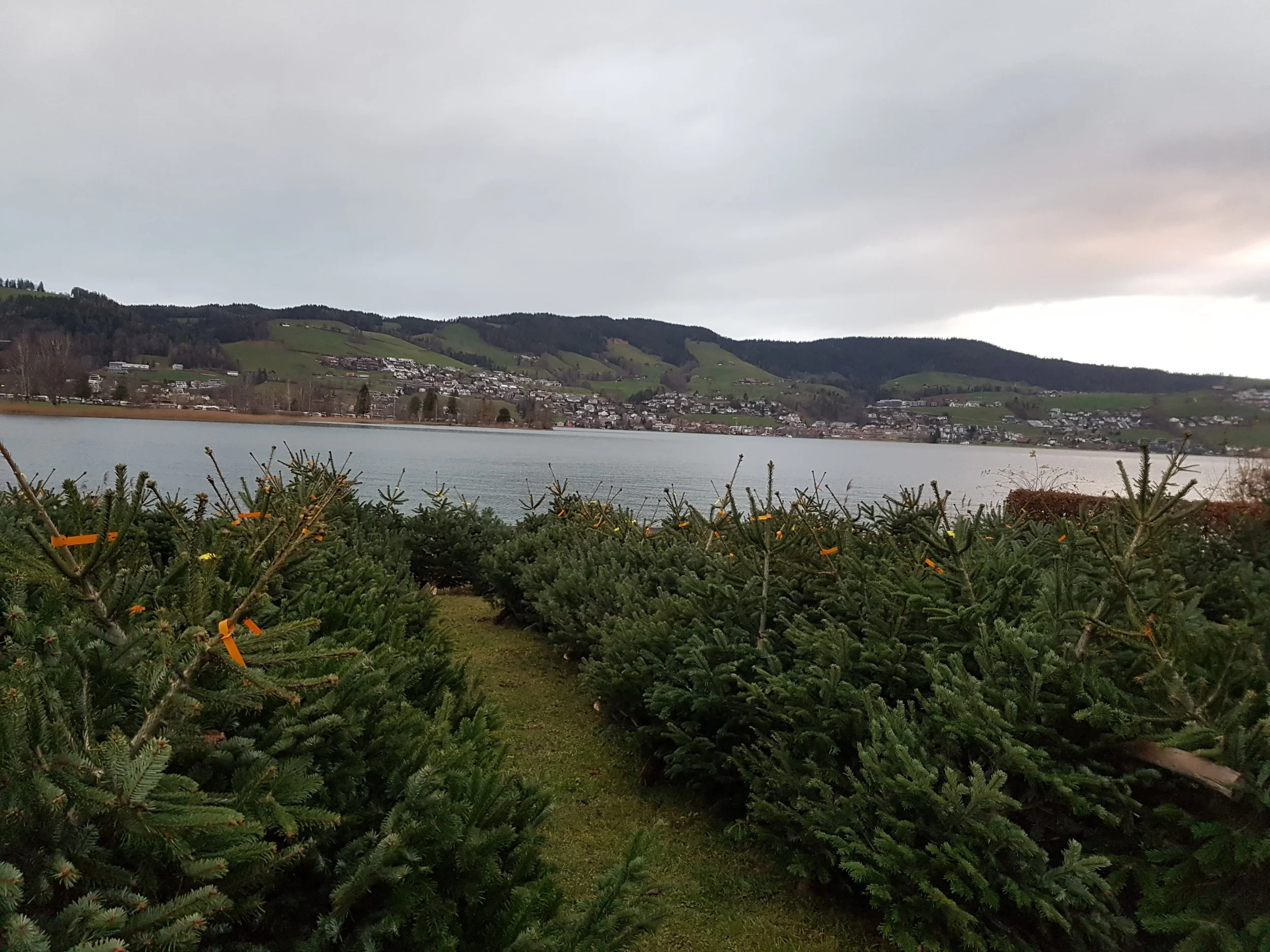 WhatsApp Image 2026-01-27 at 08.53.05 (1).jpeg