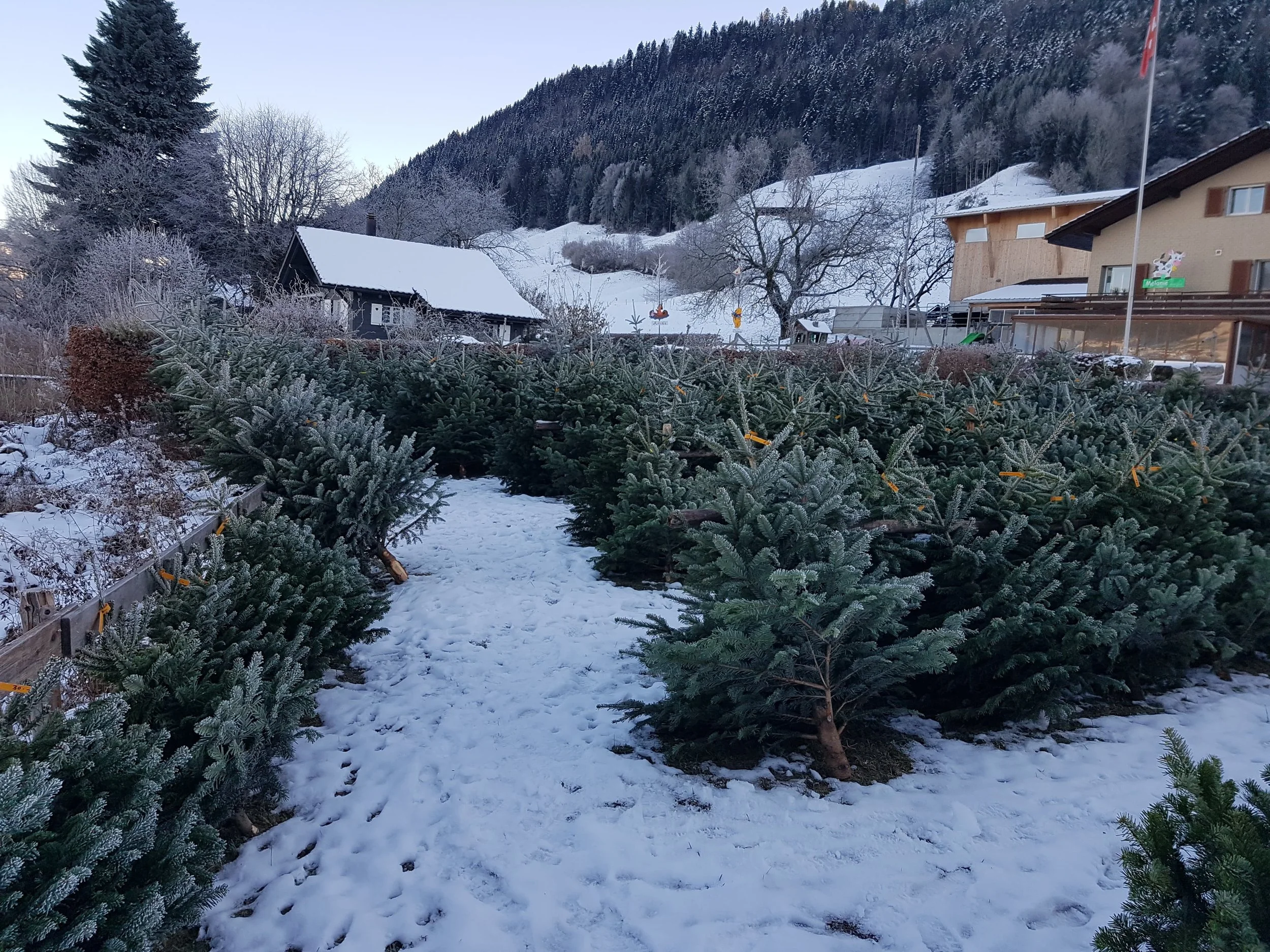 WhatsApp Image 2026-01-27 at 08.53.06.jpeg