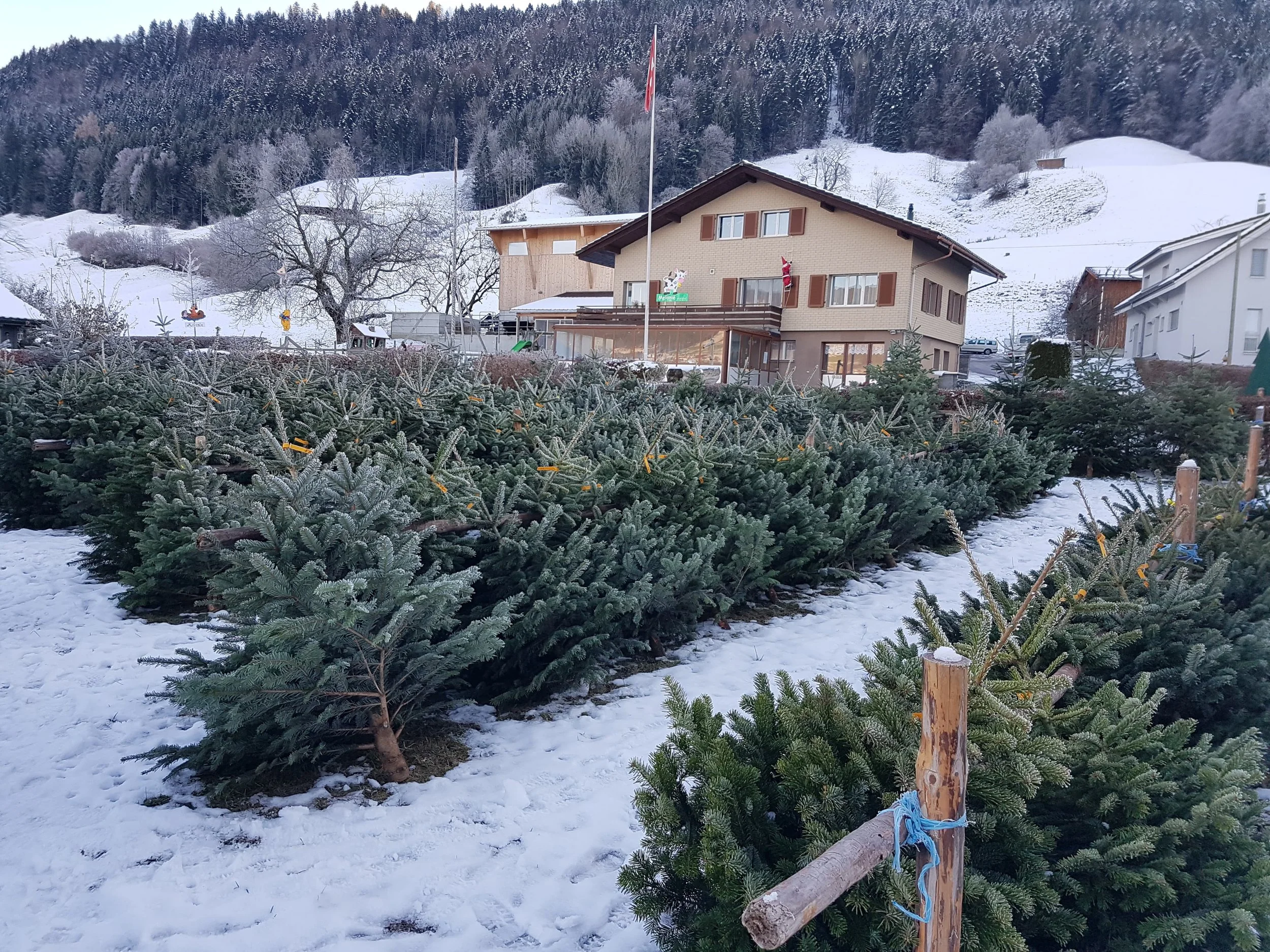 WhatsApp Image 2026-01-27 at 08.53.05 (3).jpeg