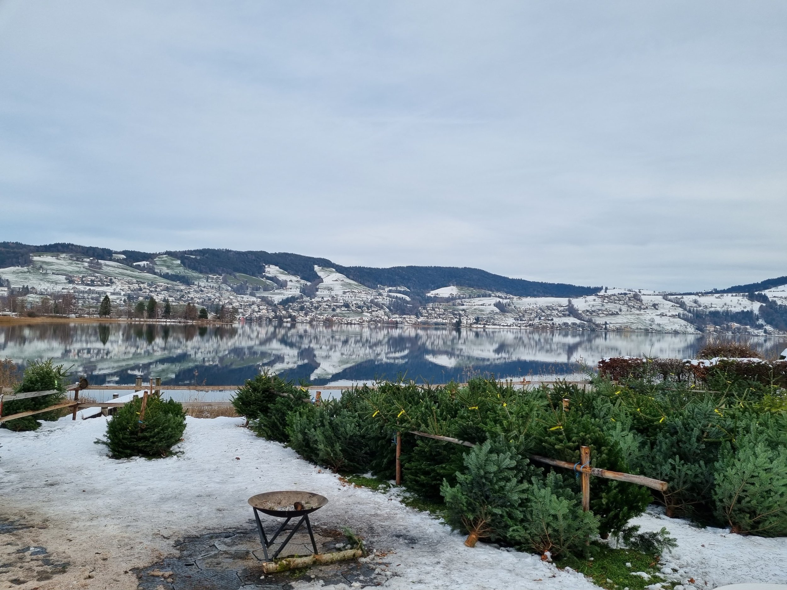 WhatsApp Image 2026-01-27 at 08.52.59 (1).jpeg