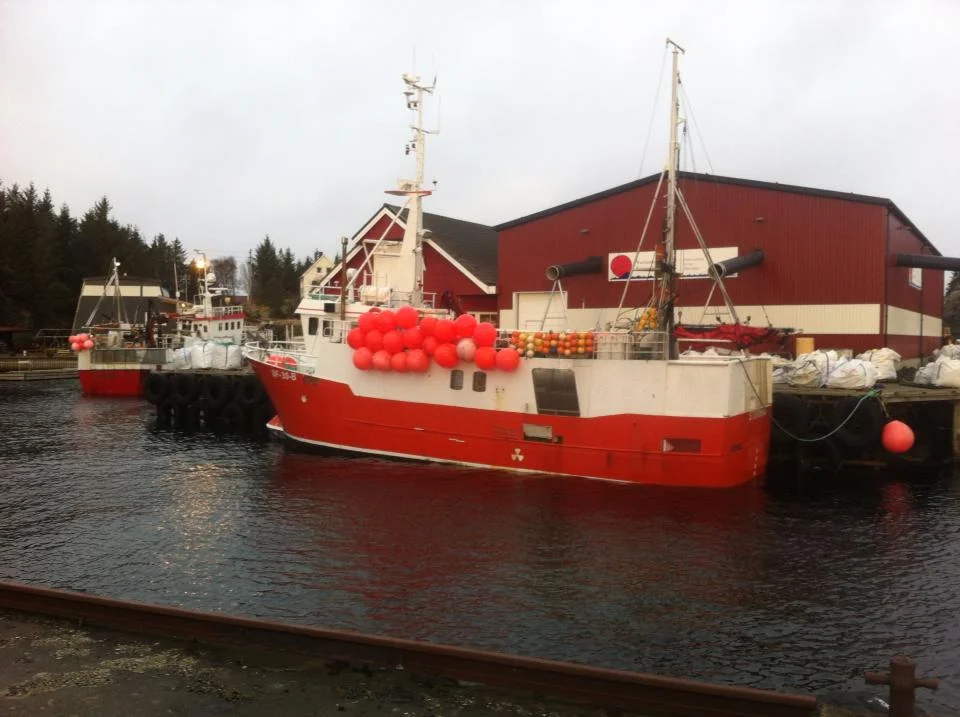 Kundar på besøk :)