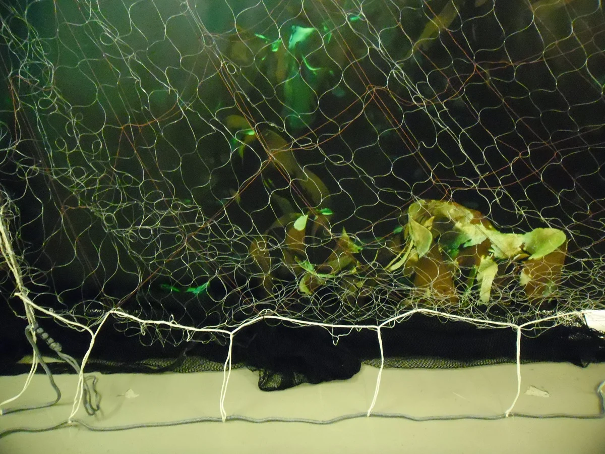 Ferdigmonterte hobbygarn/Værlandsgarn