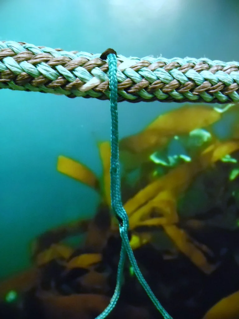 Nytt kvalitetsgarn frå Værlandet Fiskeredskap