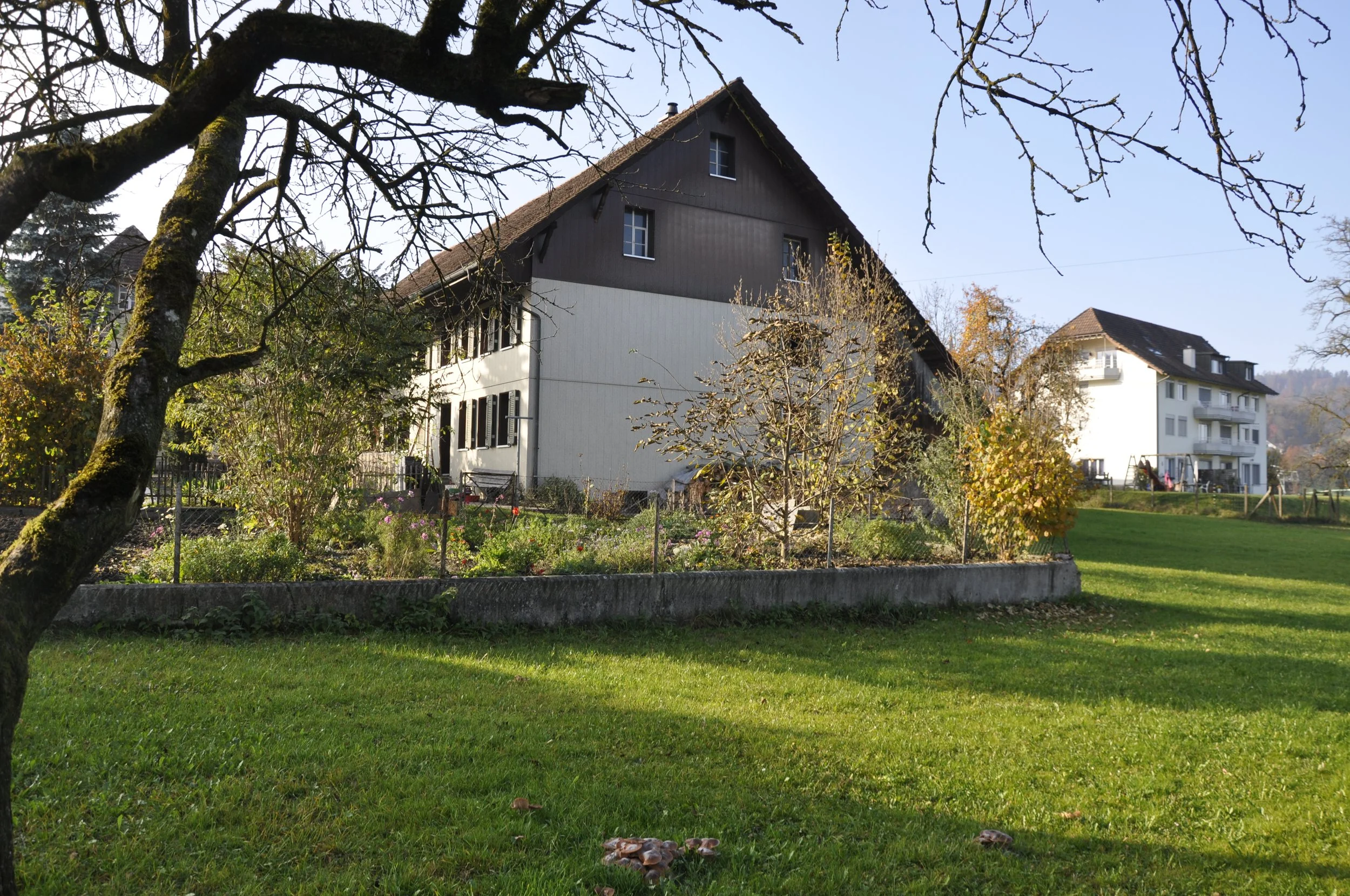 Spenden an den Verein Arche Noe sind steuerabzugsfähig!