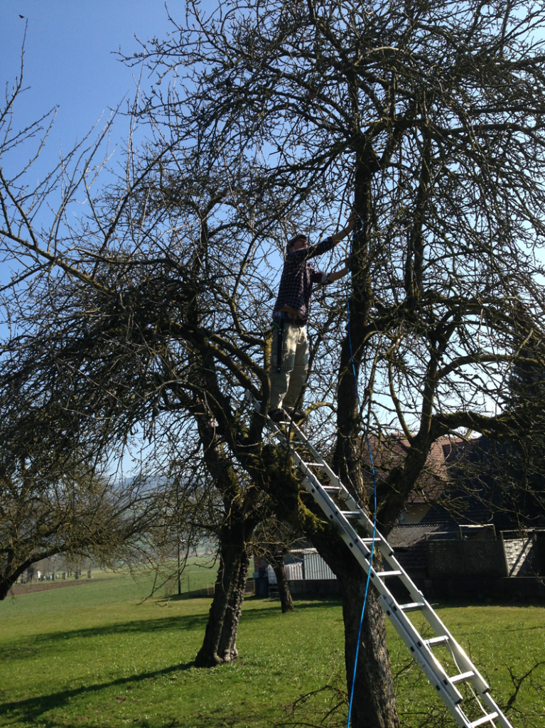 Baumschneiden1-767x1024.png
