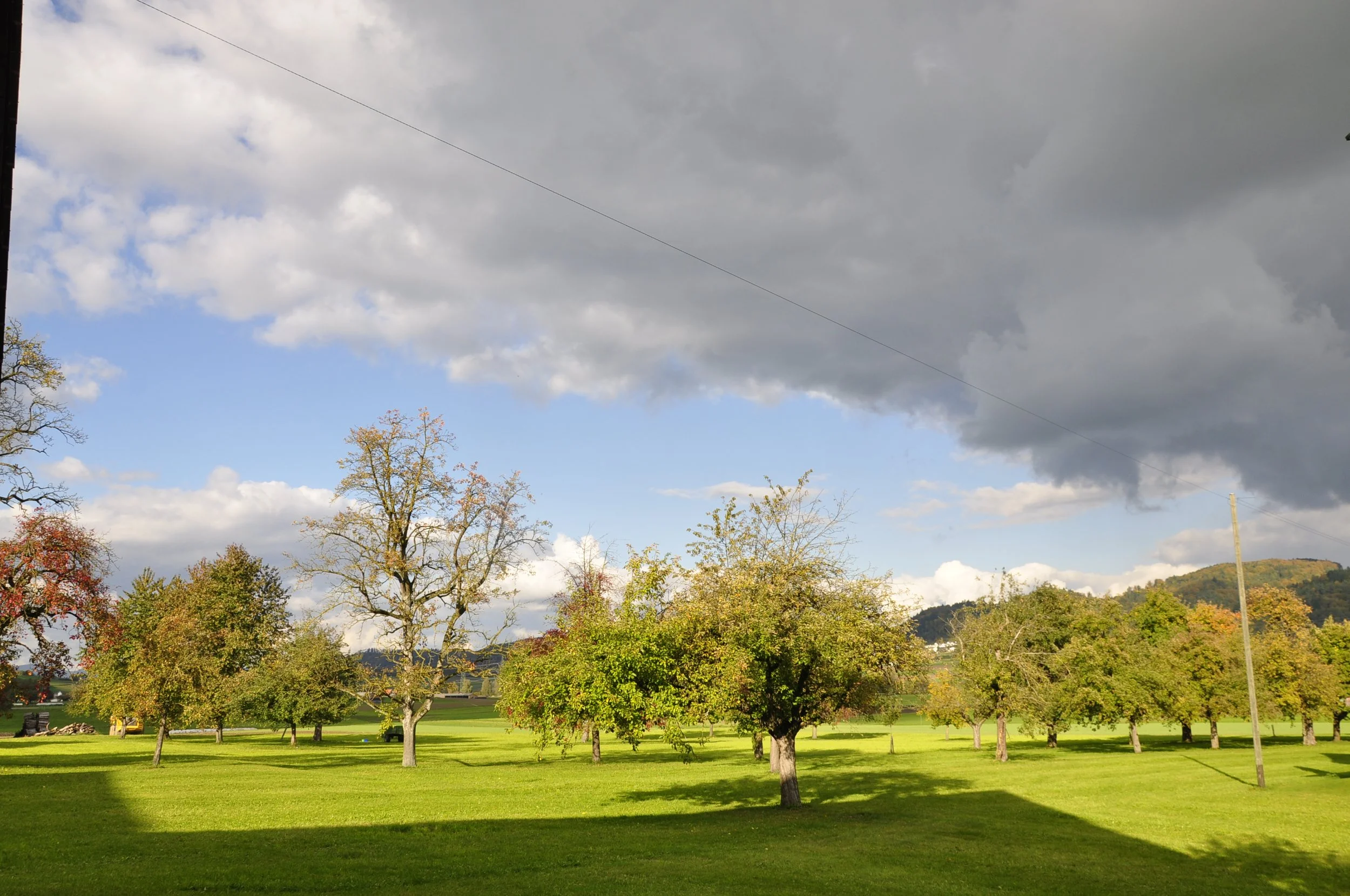 Wiese mit Bäumen, einige Wolken am Himmel, Schatten auf dem Boden, ein Hügel im Hintergrund, eine Stromleitung und ein Strommast im Bild.