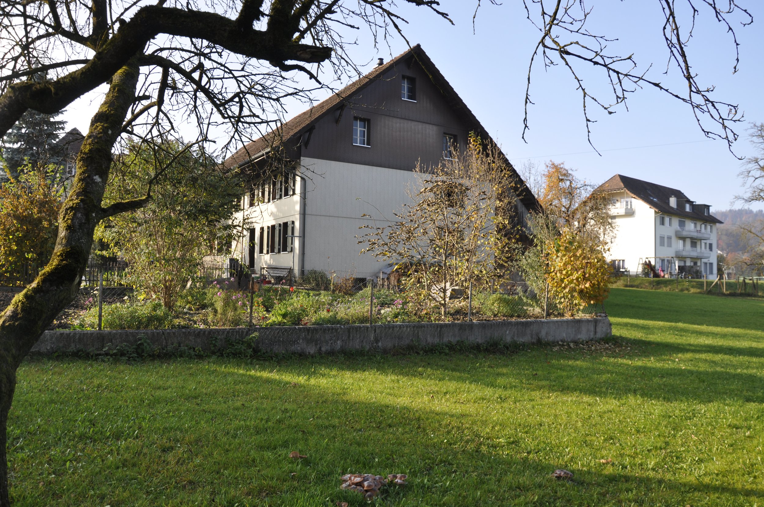 Ein Haus mit dunkler und heller Hälfte, umgeben von einem Garten mit Bäumen und Rasen, bei Tageslicht.