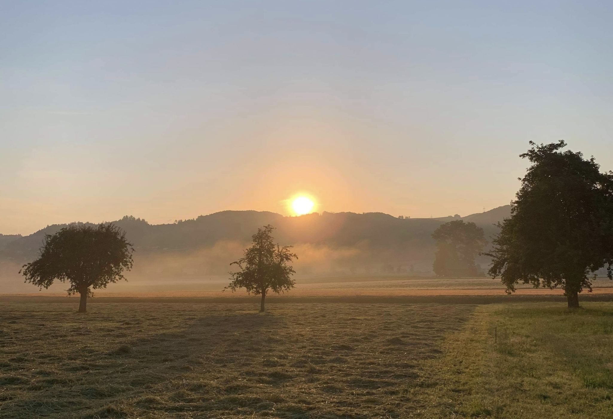 Sonnenaufgang über einem Feld mit drei Bäumen und Bergen im Hintergrund, Morgennebel in der Luft.