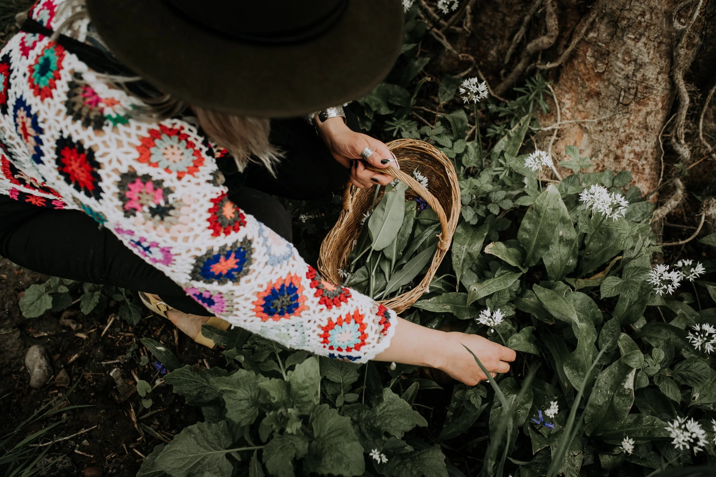 An image of a person bent over picking leaves and holding a basket of leaves, the image is taken overhead so the person's face is not visible.