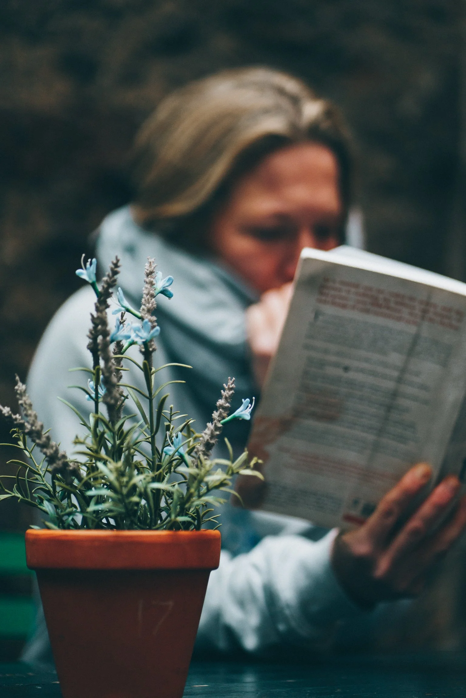 A plant pot with flowers in it, and Abi Adams out of focus in the background, reading a book.