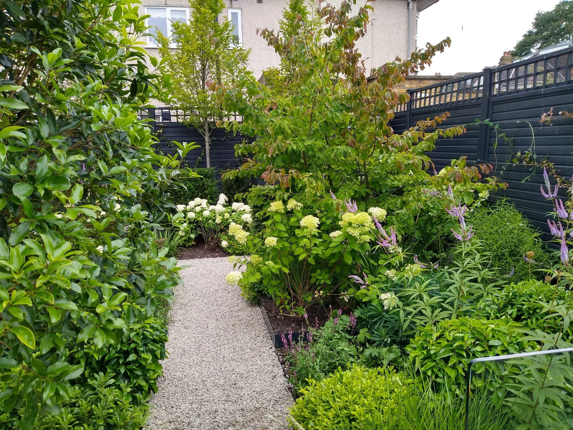 Garden Maintenance & Improvements