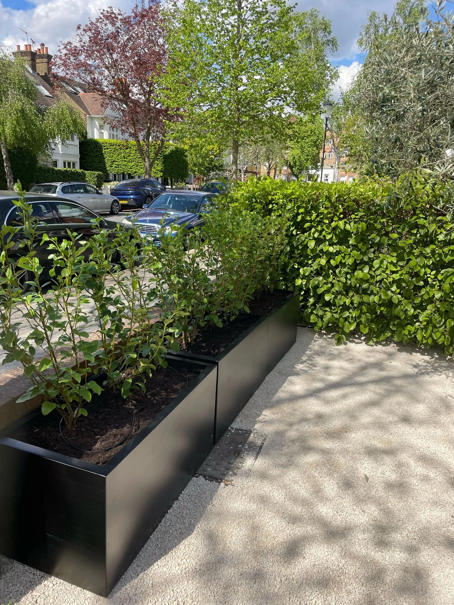 Black planters with green plants on a sidewalk next to a parking lot and trees in an urban area.