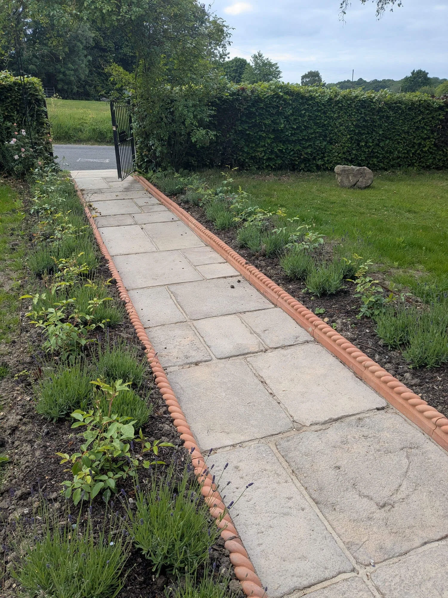 Marine Green Horticulture Garden Maintenance Poole Bournemouth (41).jpg