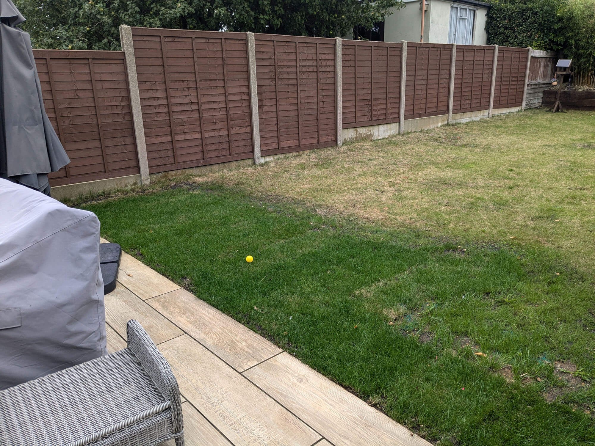 Marine Green Horticulture Garden Maintenance Poole Bournemouth (30).jpg