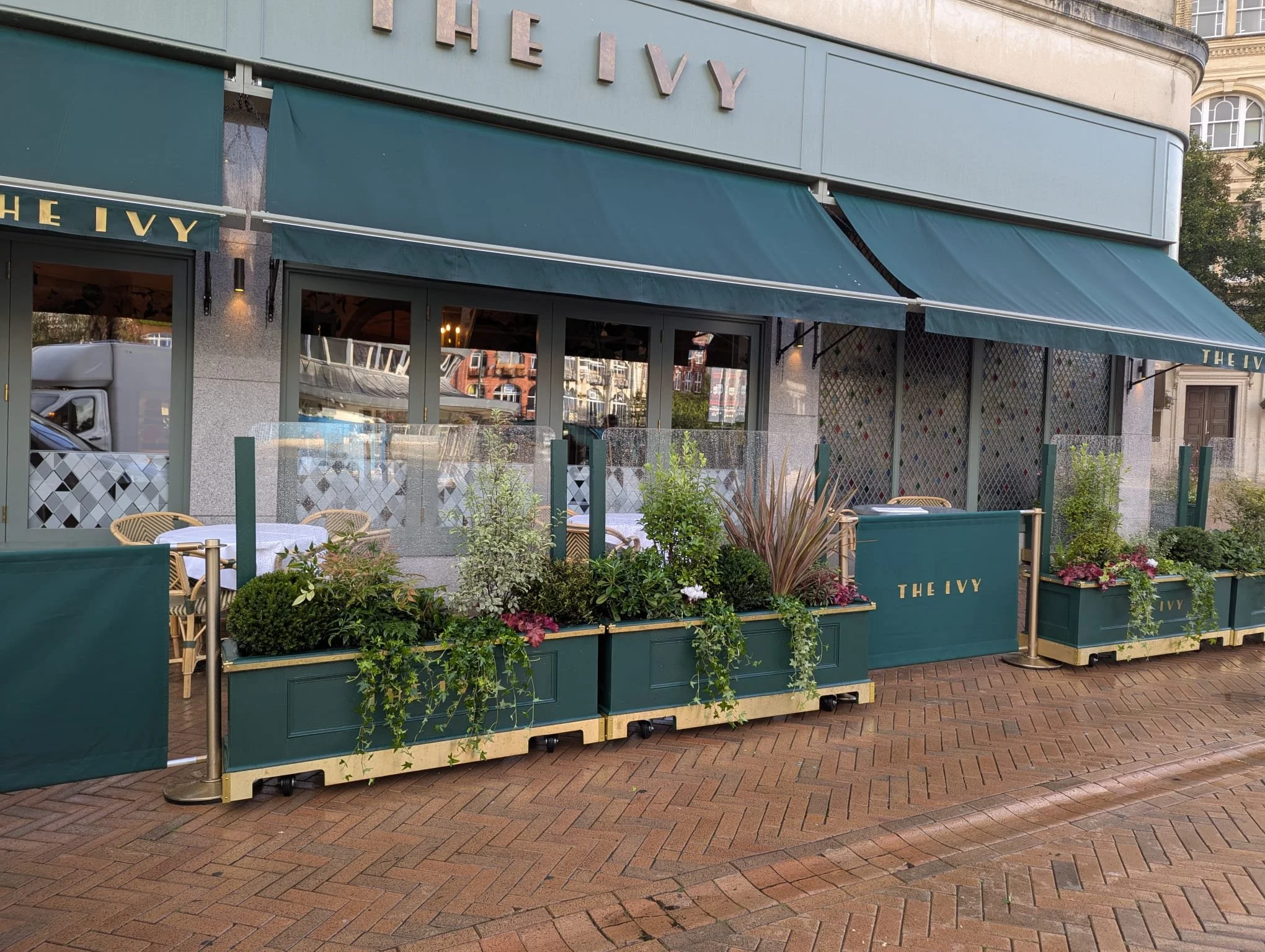 Exterior view of a restaurant named 'The Ivy' with outdoor seating area, green planters filled with greenery and flowers, glass barriers, and a green awning.