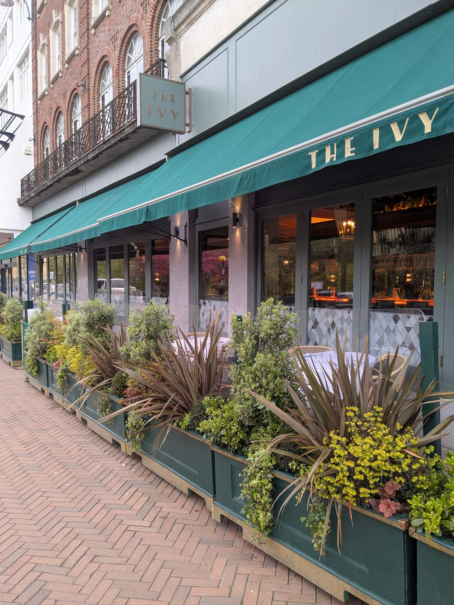Exterior of a restaurant called 'The Ivy' with a green awning, large glass windows, and a row of potted plants and flowers outside on a sidewalk.