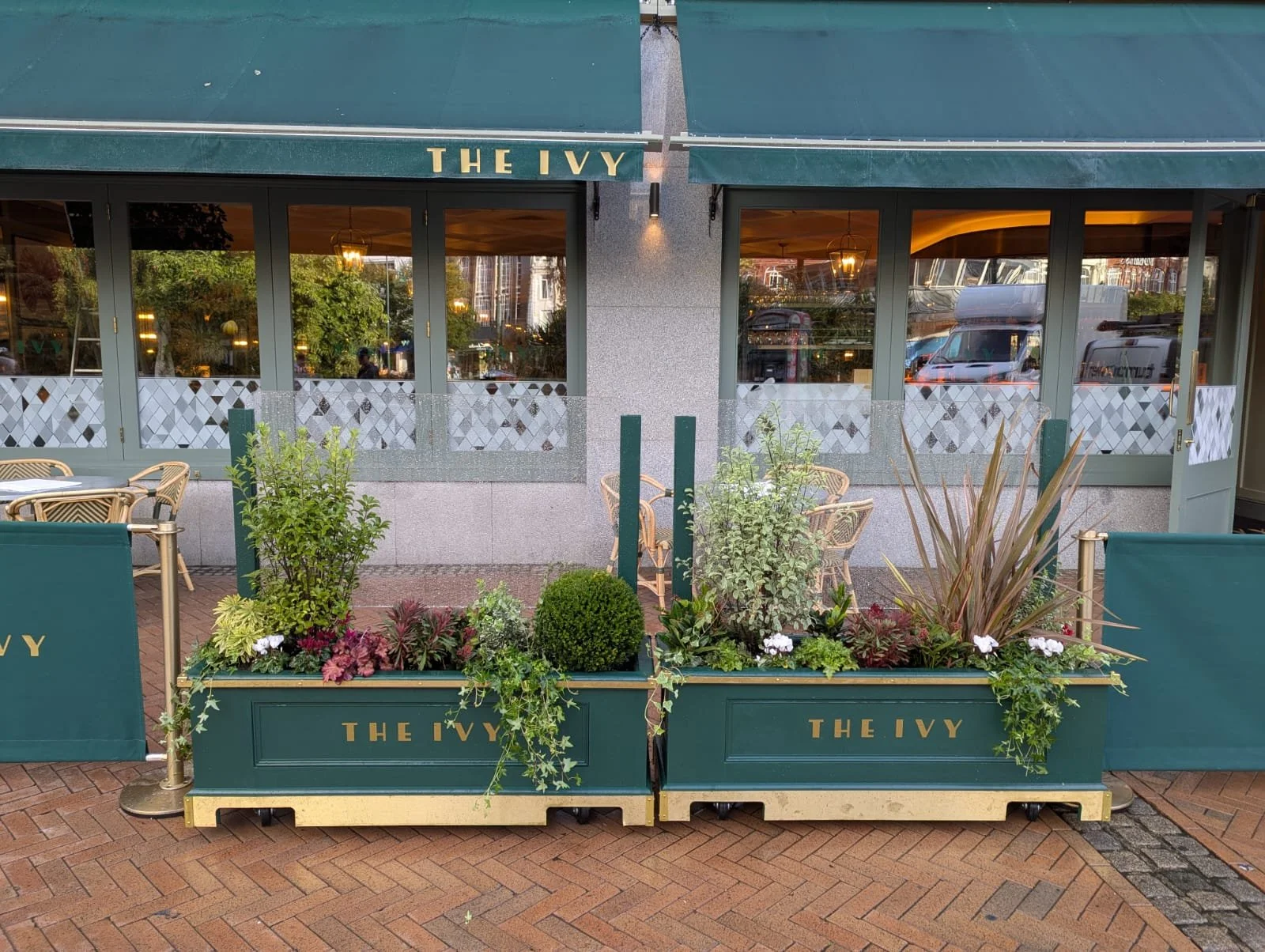 Facade of a restaurant named The Ivy with large windows, outdoor seating, and green planters with various plants in front.
