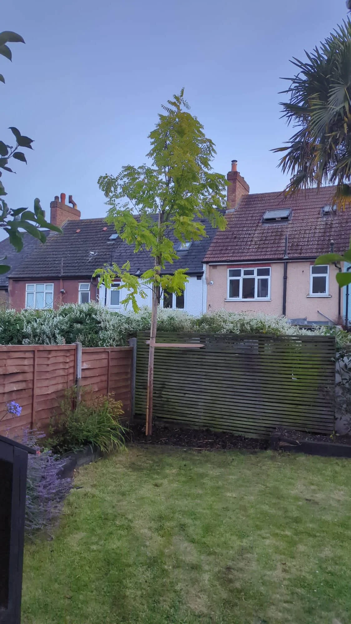 Marine Green Horticulture Garden Maintenance Poole Bournemouth (15).jpg