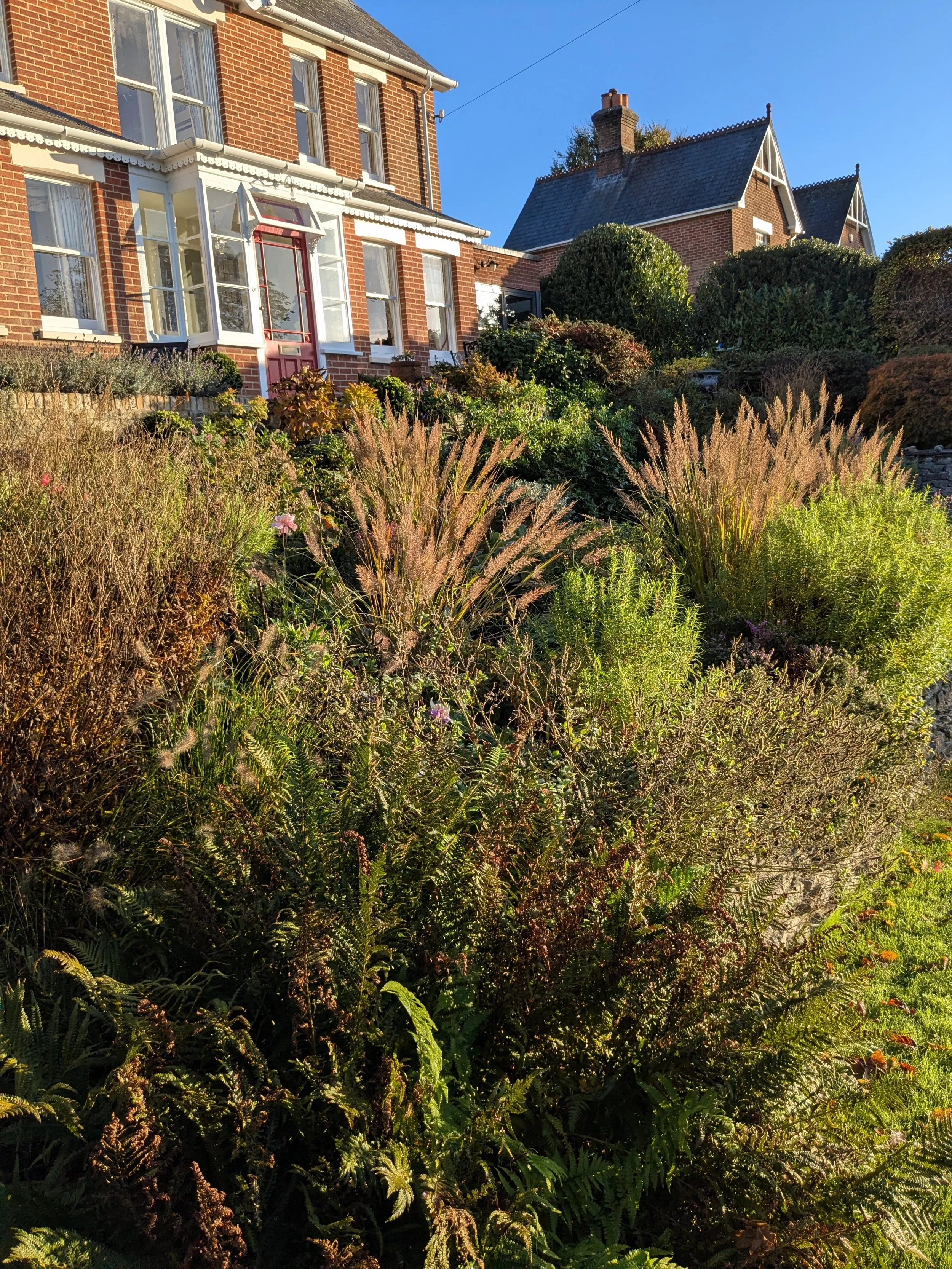 A garden with a variety of plants in front of red-brick houses under a clear blue sky.