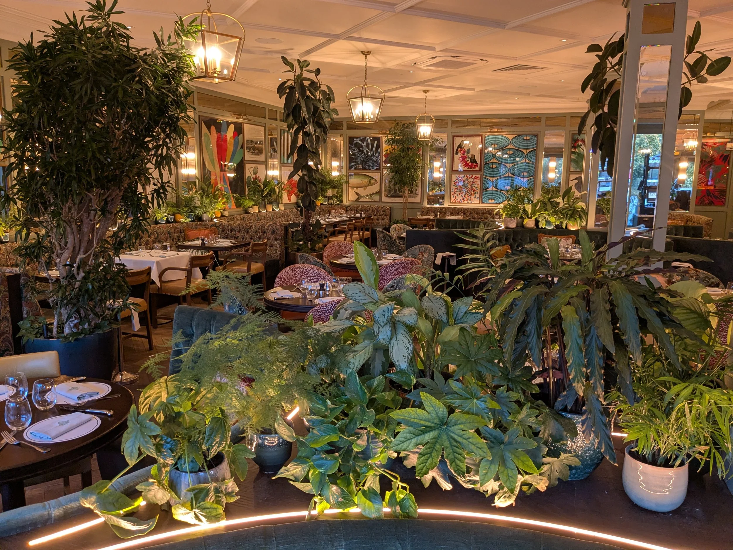Elegant restaurant interior with tables set for dining, filled with lush green plants and decorative artwork on the walls.