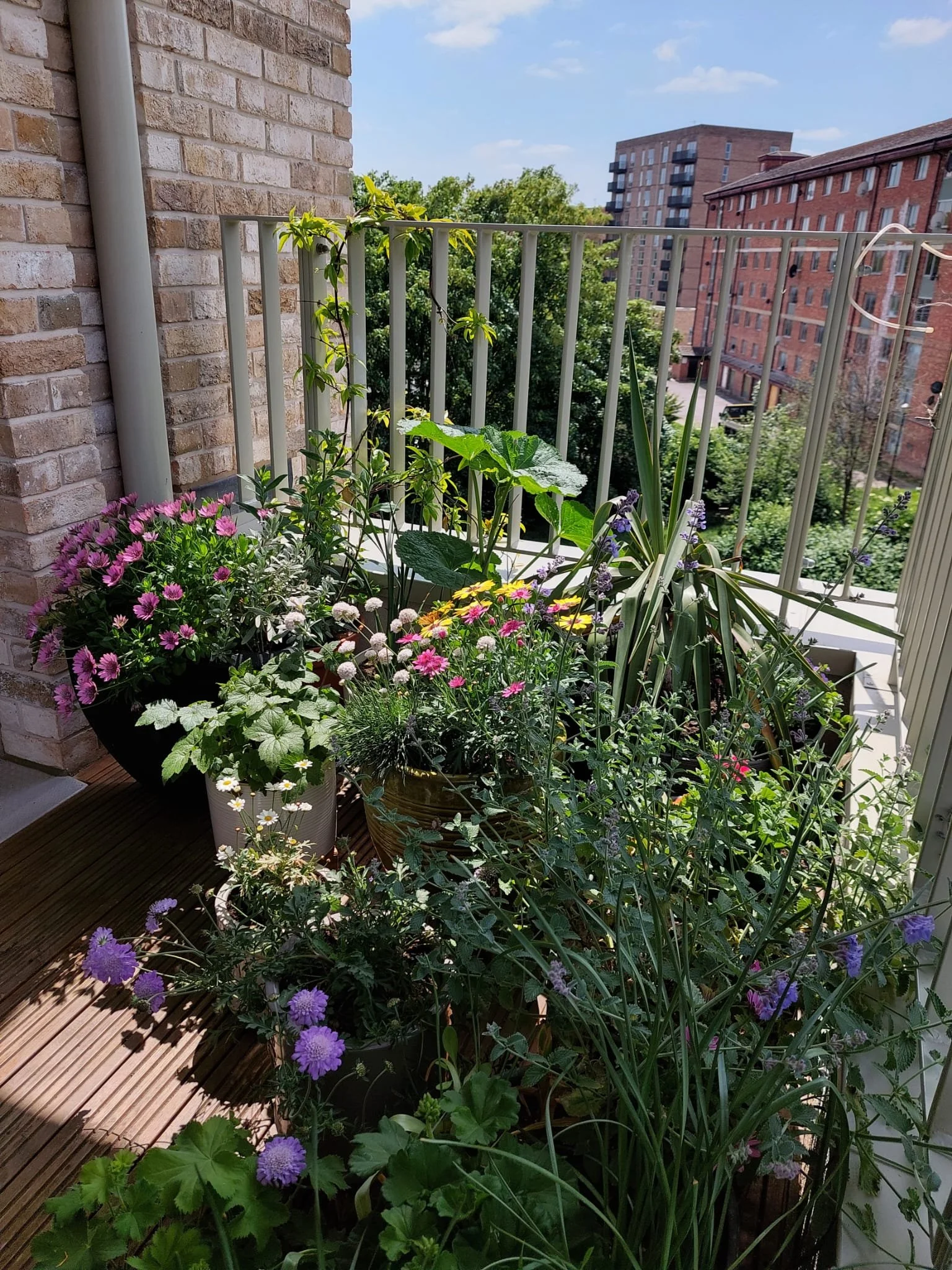 A small balcony garden with various potted flowers and plants, including pink, white, and purple blossoms, surrounded by a beige metal railing, with nearby buildings and trees in the background.