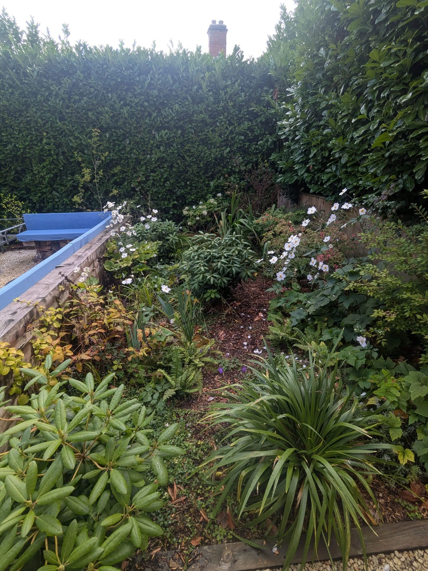 Marine Green Horticulture Garden Maintenance Poole Bournemouth (52).jpg