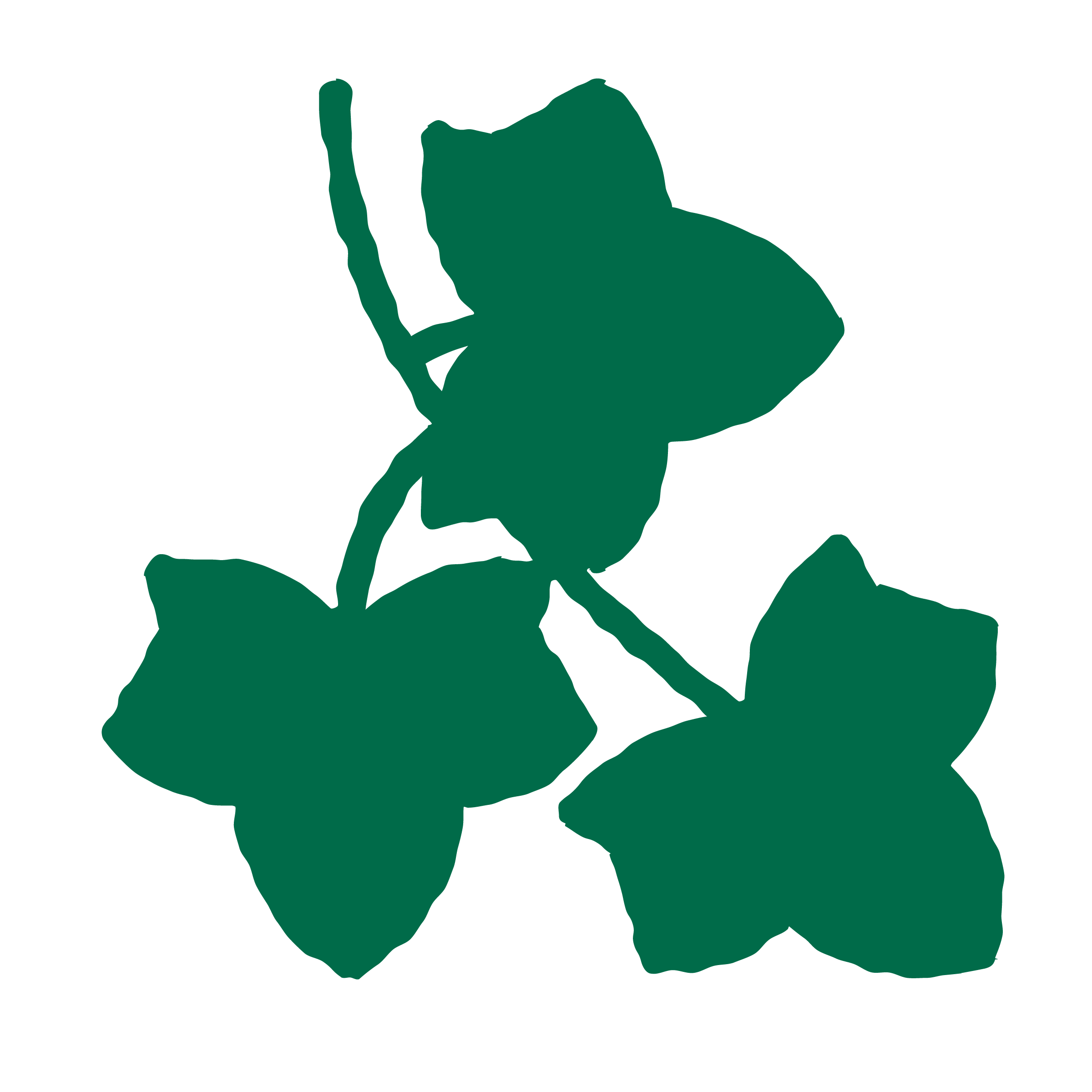 Outline drawing of a plant with three leaves and a stem.