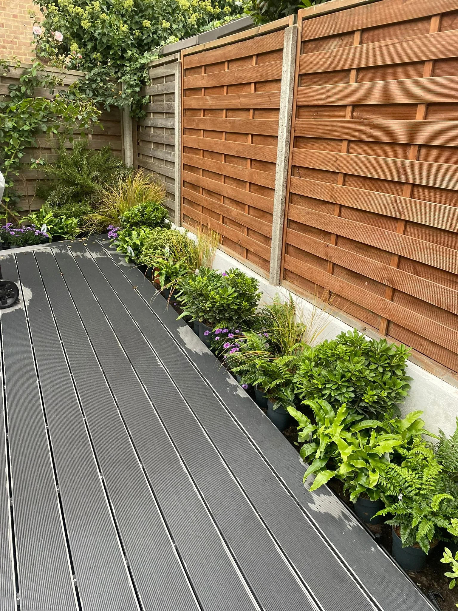 A backyard patio with a wooden privacy fence along the edge, various green plants and shrubs in pots, and a black composite deck surface.