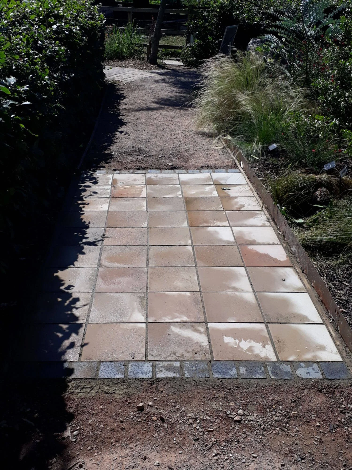 Marine Green Horticulture Garden Maintenance Poole Bournemouth (13).jpg