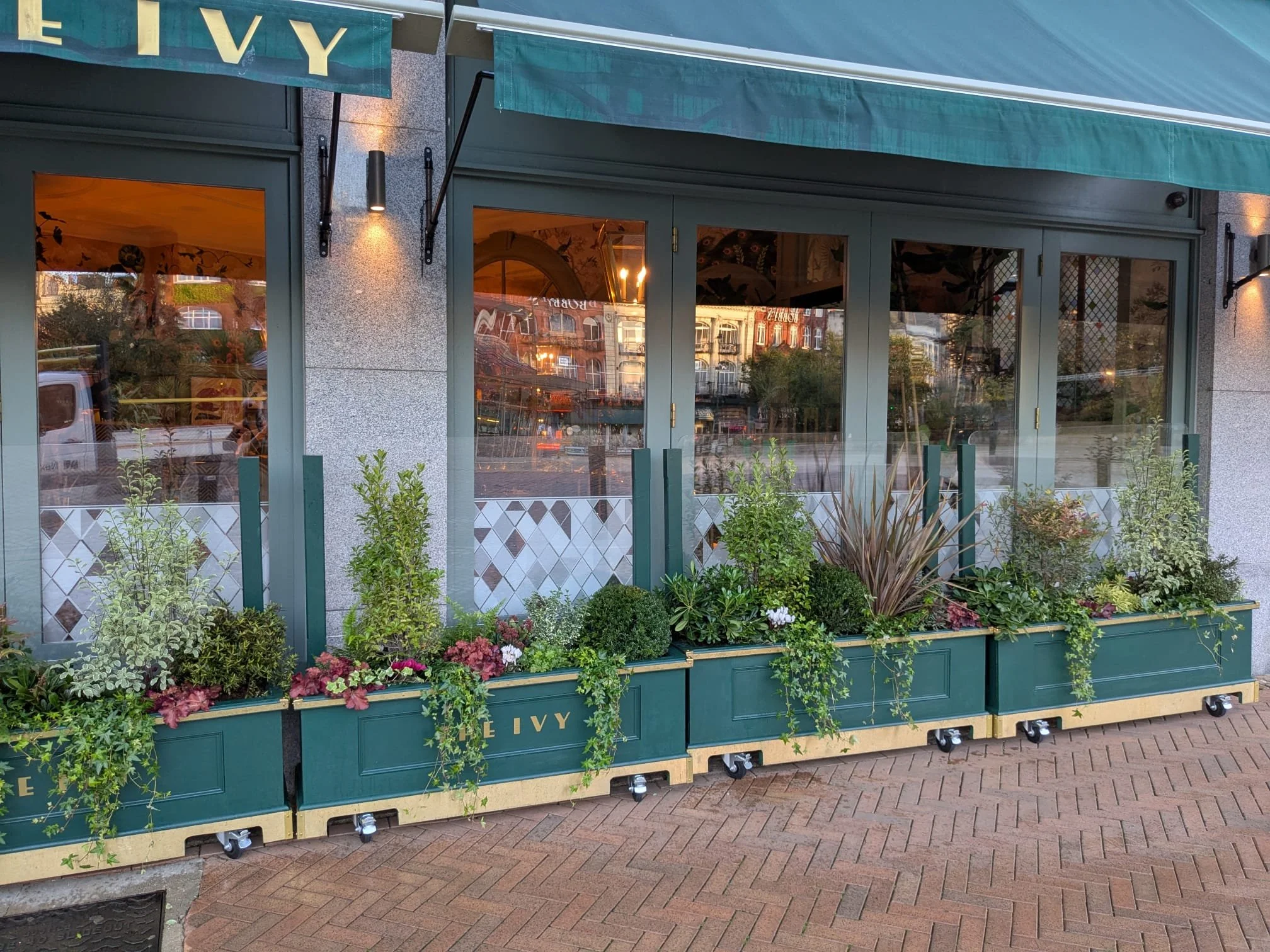 Outside view of a restaurant named Ivy with green planters filled with various plants and flowers, large glass windows, and a blue awning.