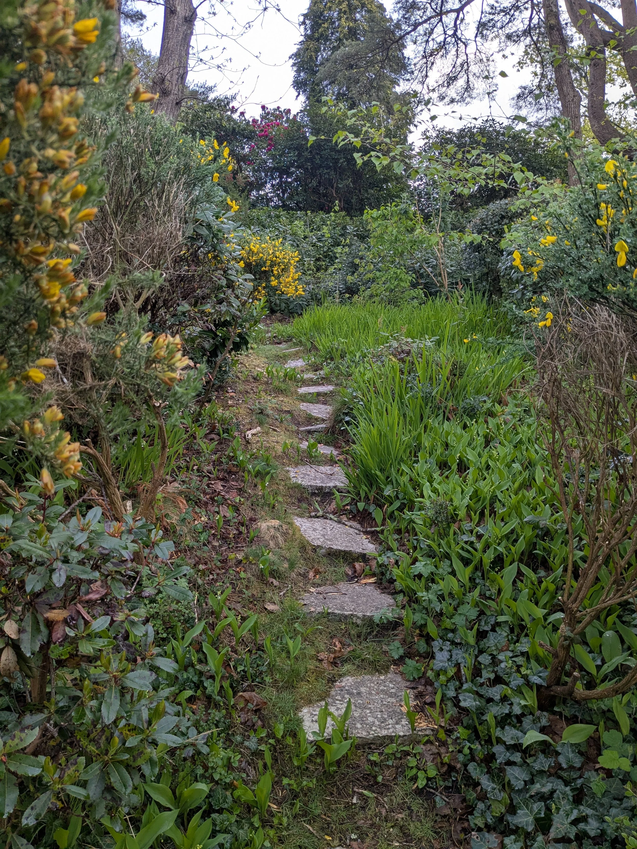 A narrow garden pathway made of uneven stone slabs winds through a lush, well-tended garden with various green plants and yellow flowers on either side, and tall trees in the background under a cloudy sky.