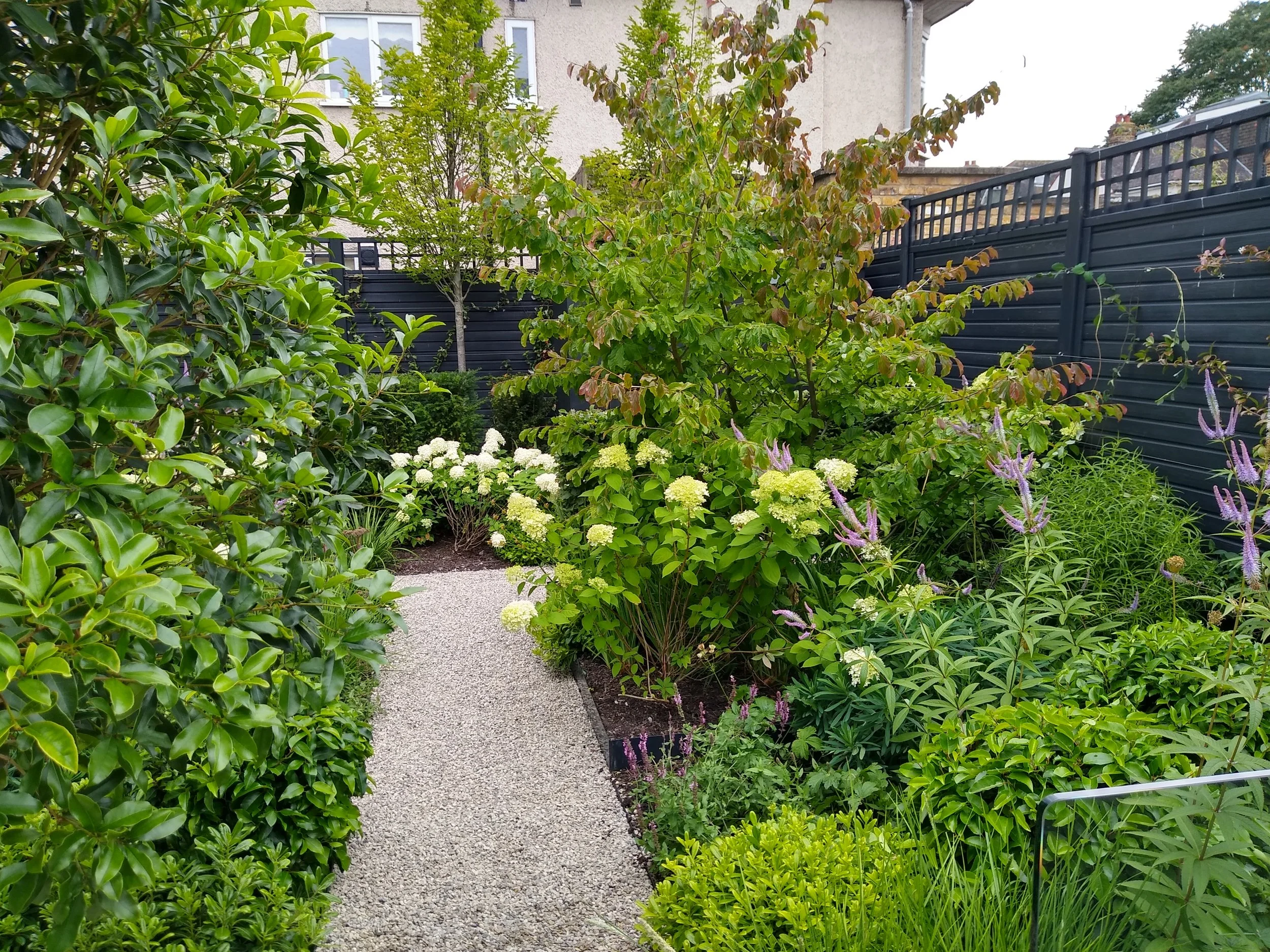 A garden path surrounded by lush green shrubs and flowering plants, with a black fence and building visible in the background.