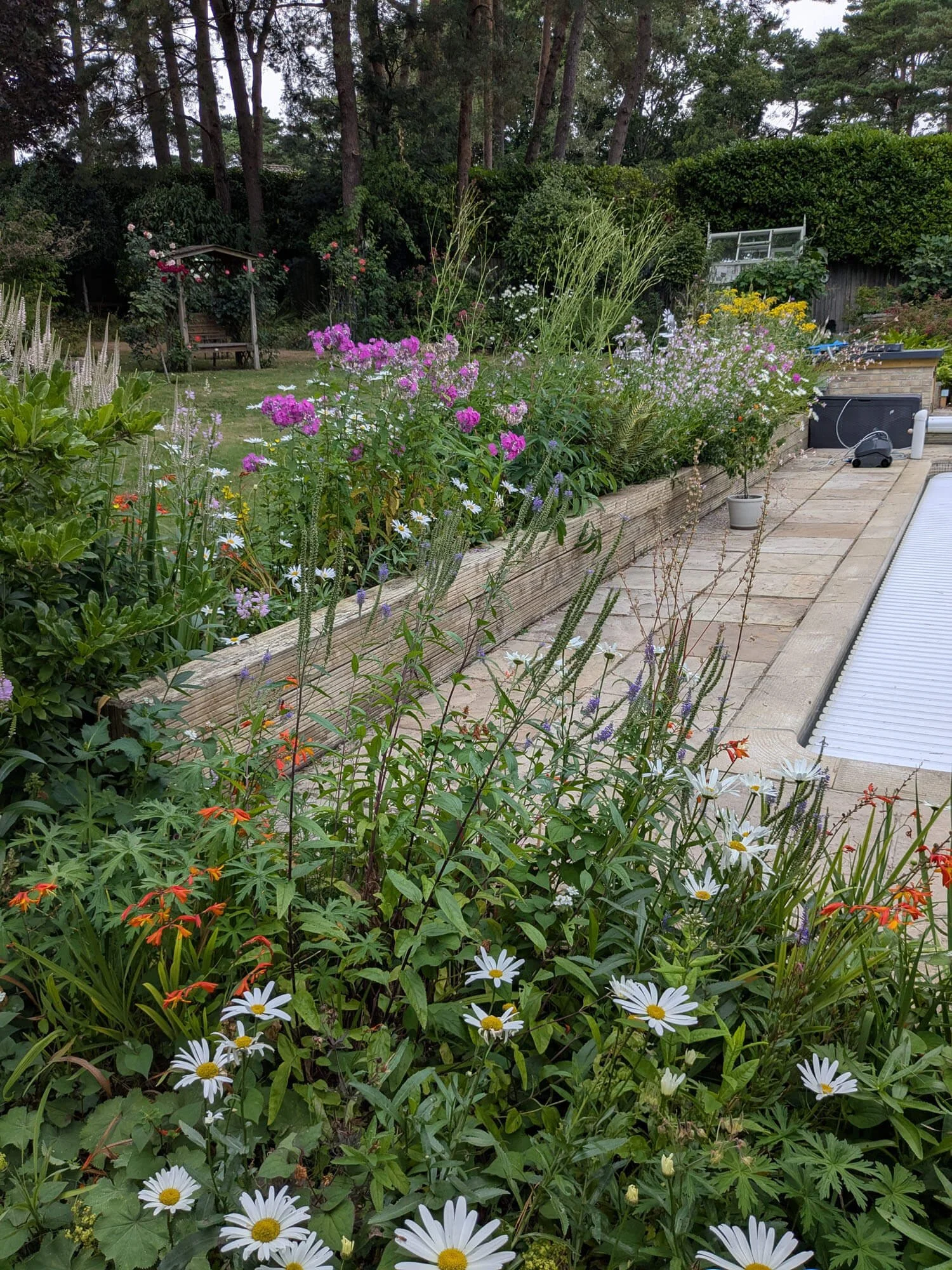 Marine Green Horticulture Garden Maintenance Poole Bournemouth (49).jpg