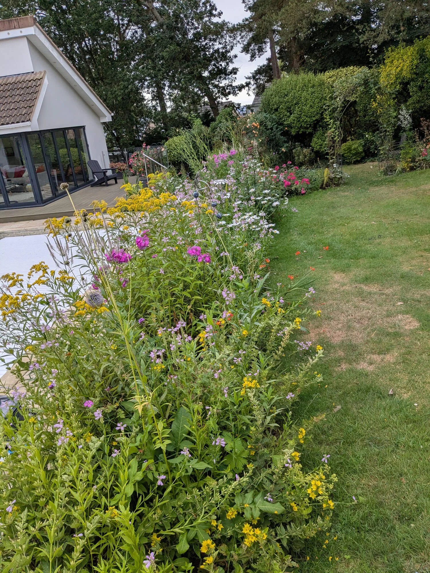 Marine Green Horticulture Garden Maintenance Poole Bournemouth (50).jpg